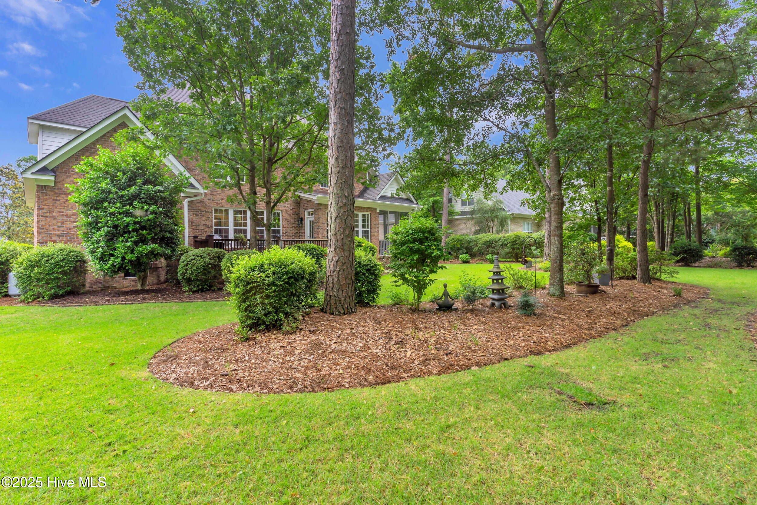 100548095 | Photo 54