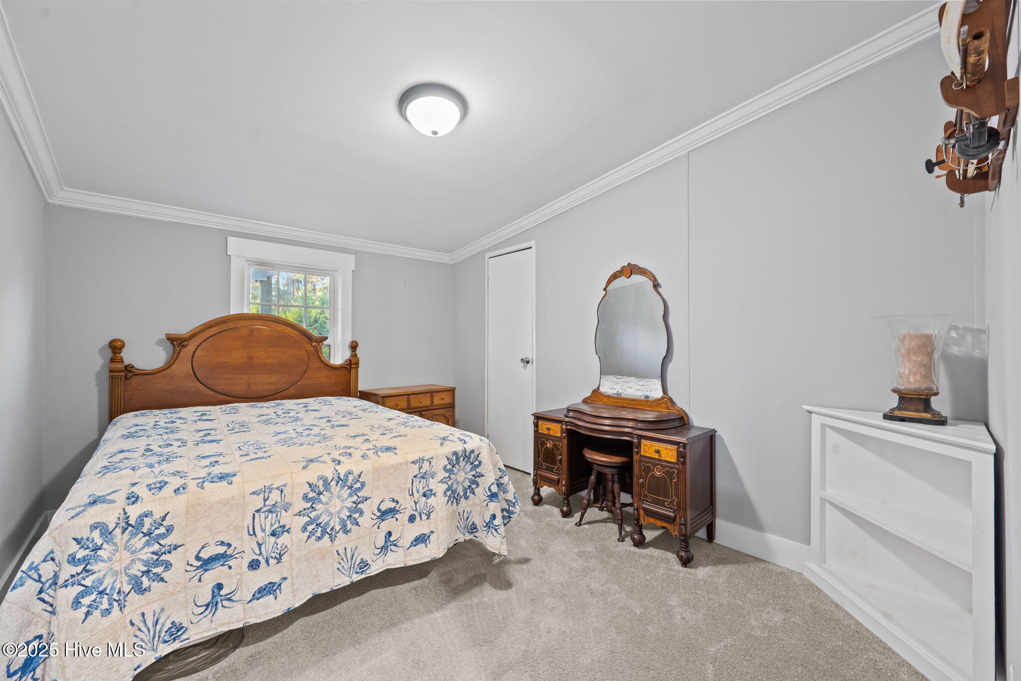 100540972 | Photo 28