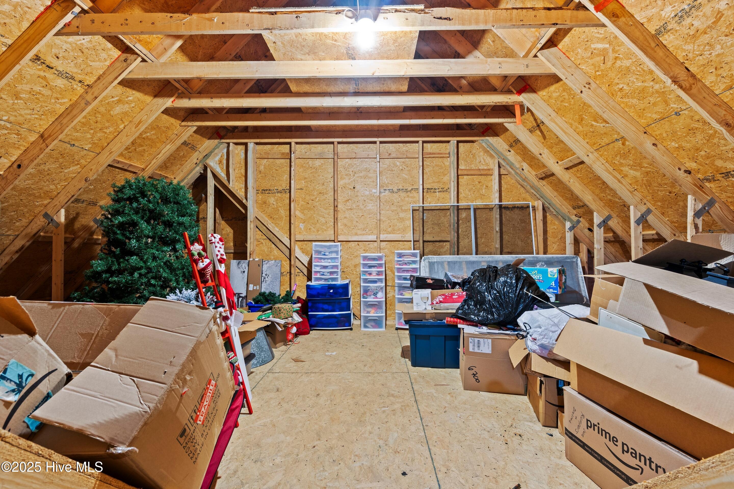 100537388 | Photo 51