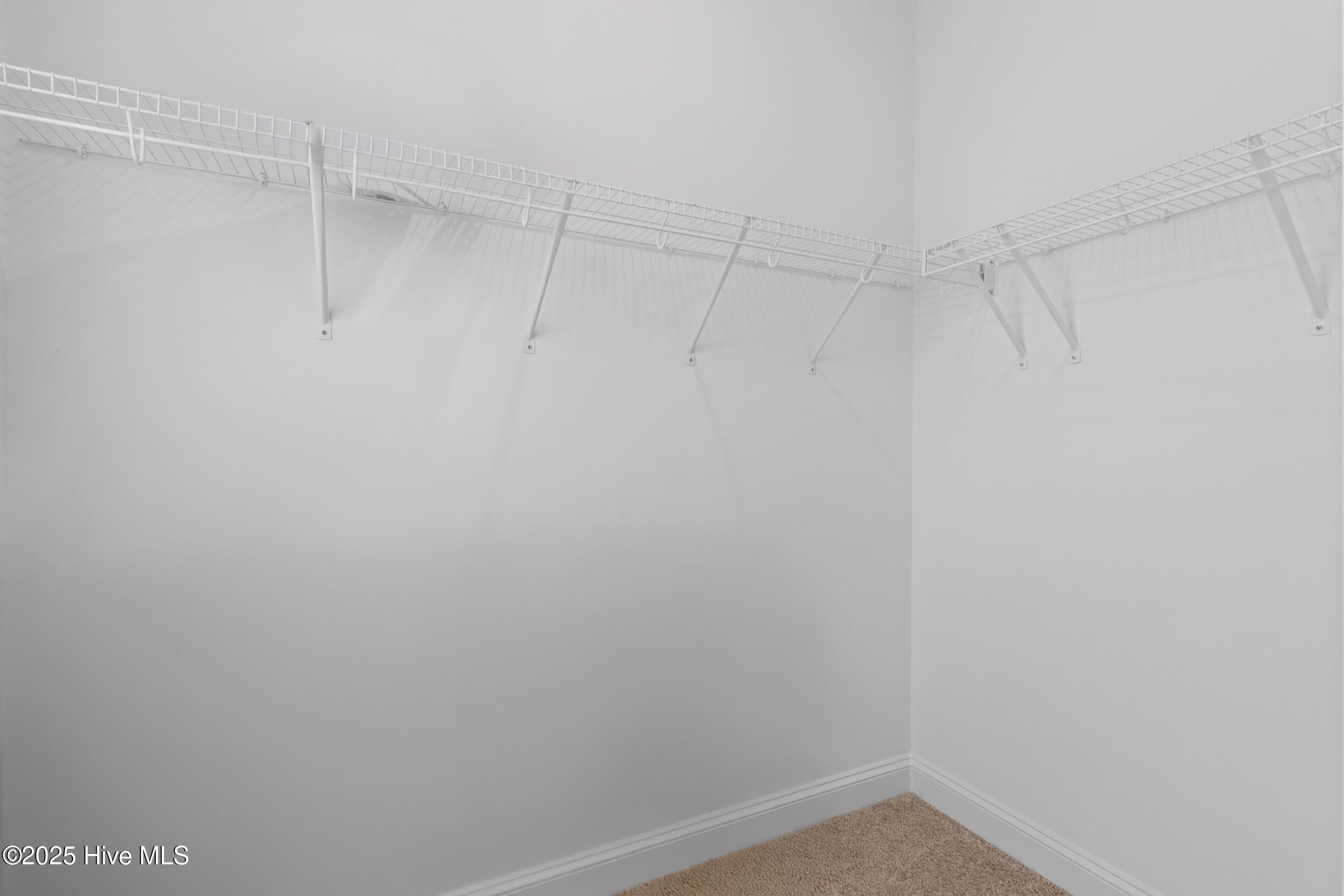 100536261 | Photo 27