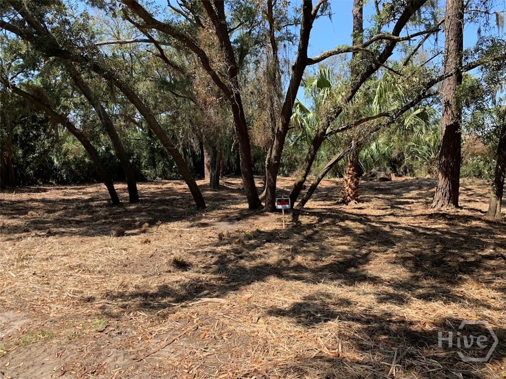 Photo 1 of Land for sale at 0 Mckenzie Ave, Tybee Island, GA 31328 | MLS# SA356630 | Listing updated on 2026-09-18