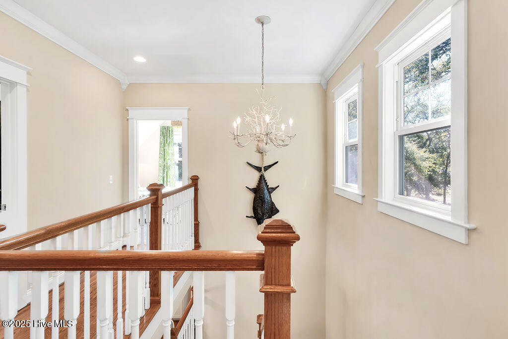 100539026 | Photo 52