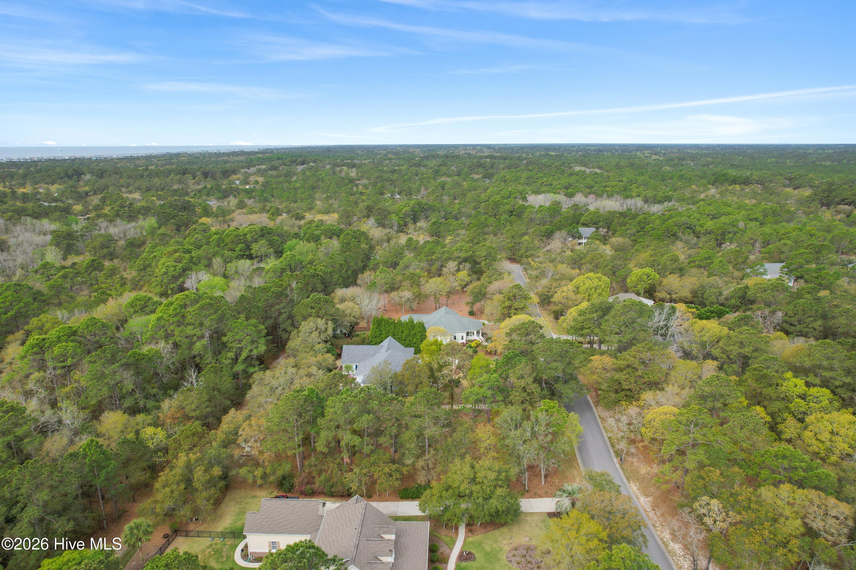 100565243 | Photo 10