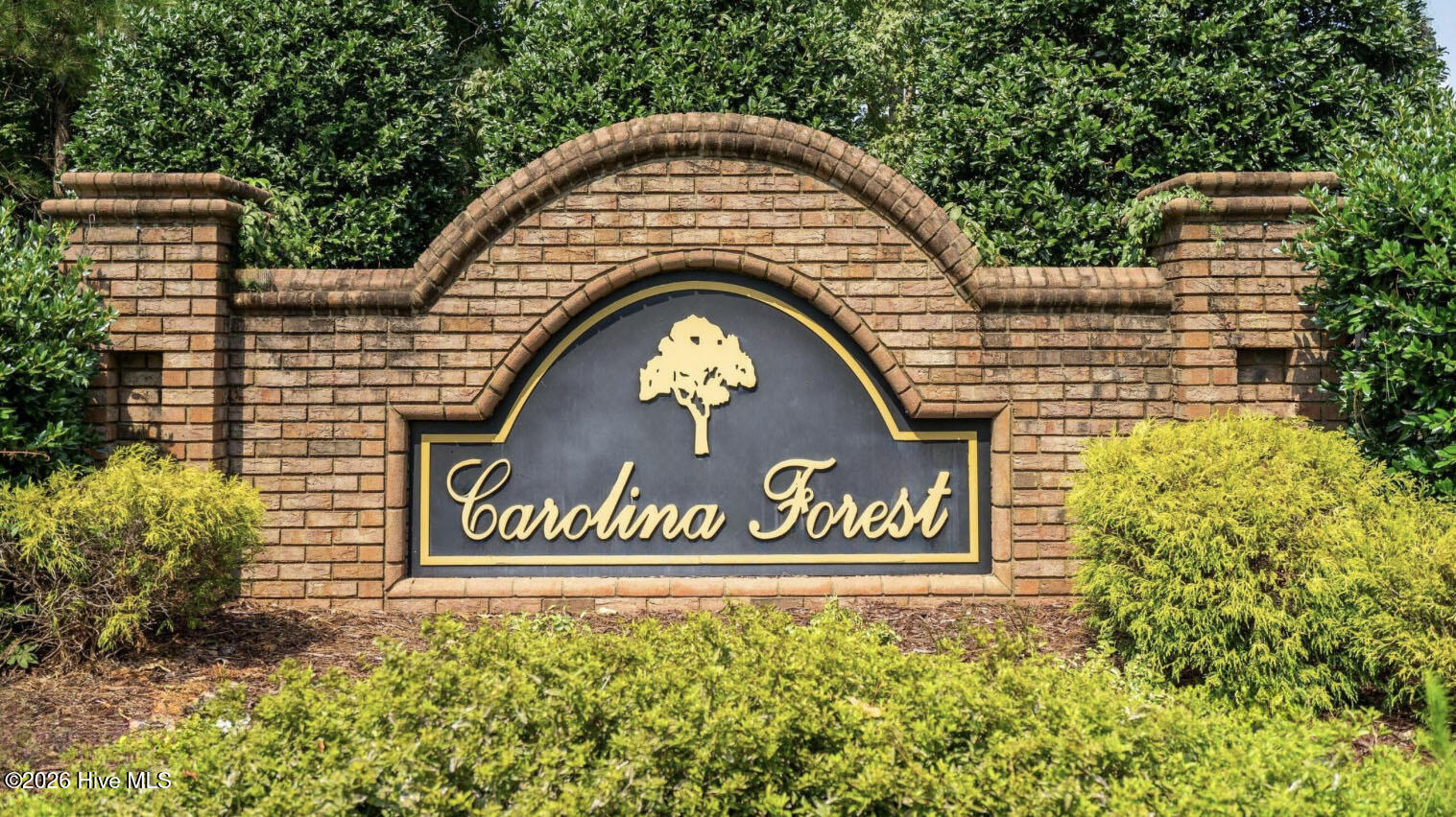 100569230 | Photo 27