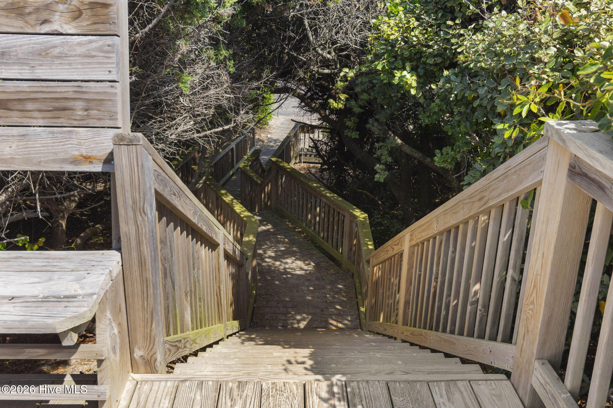 100565691 | Photo 71