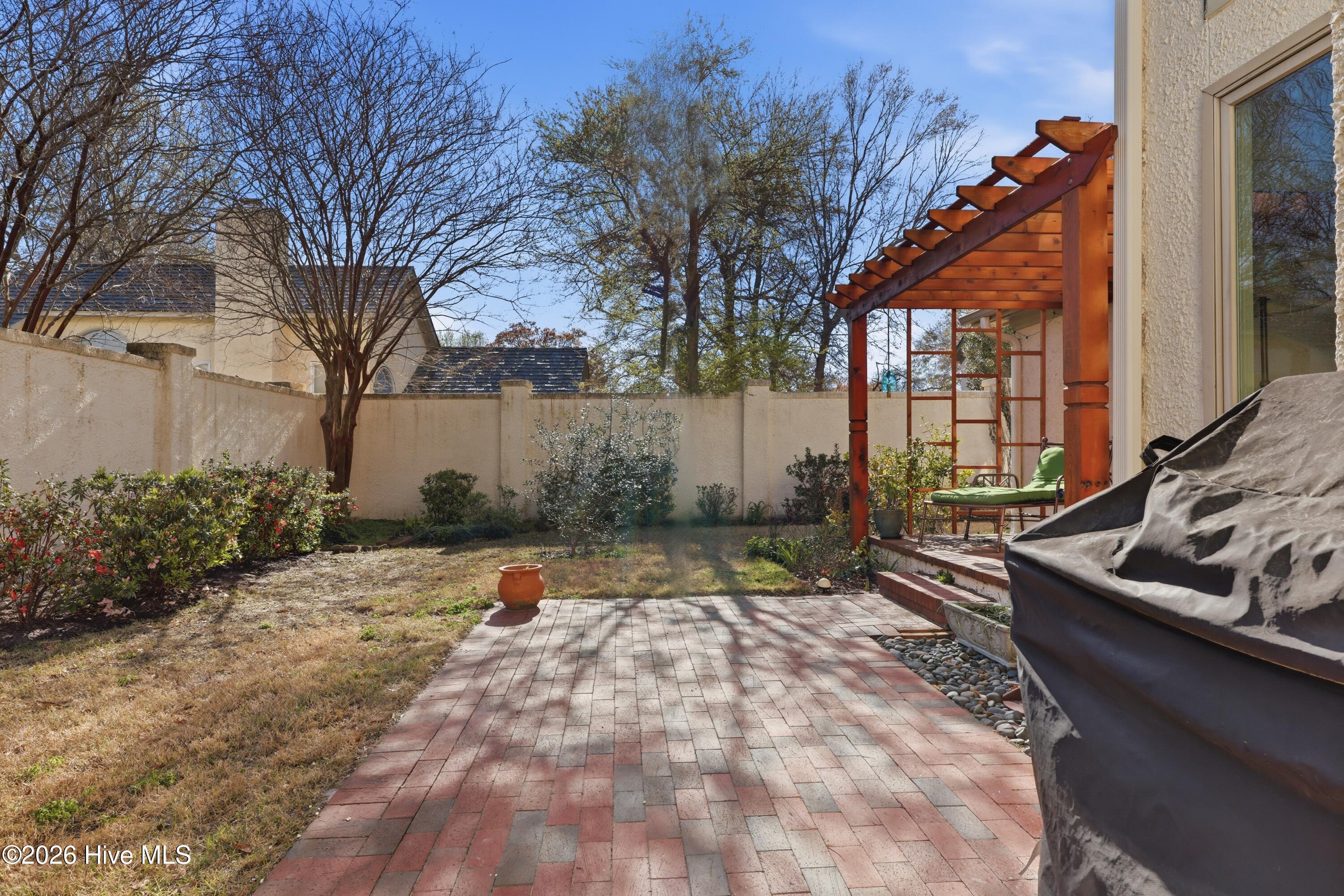 100561929 | Photo 23