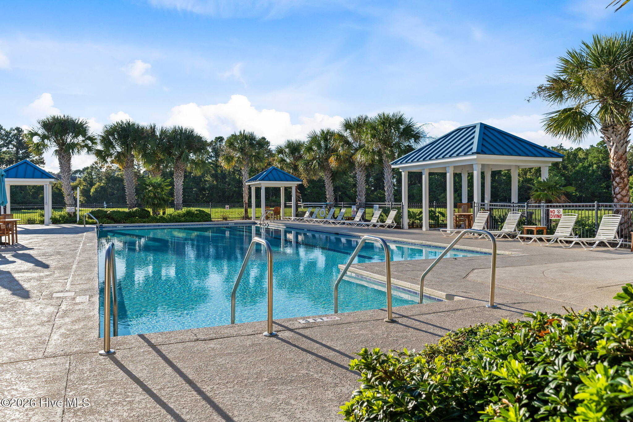 100558895 | Photo 63