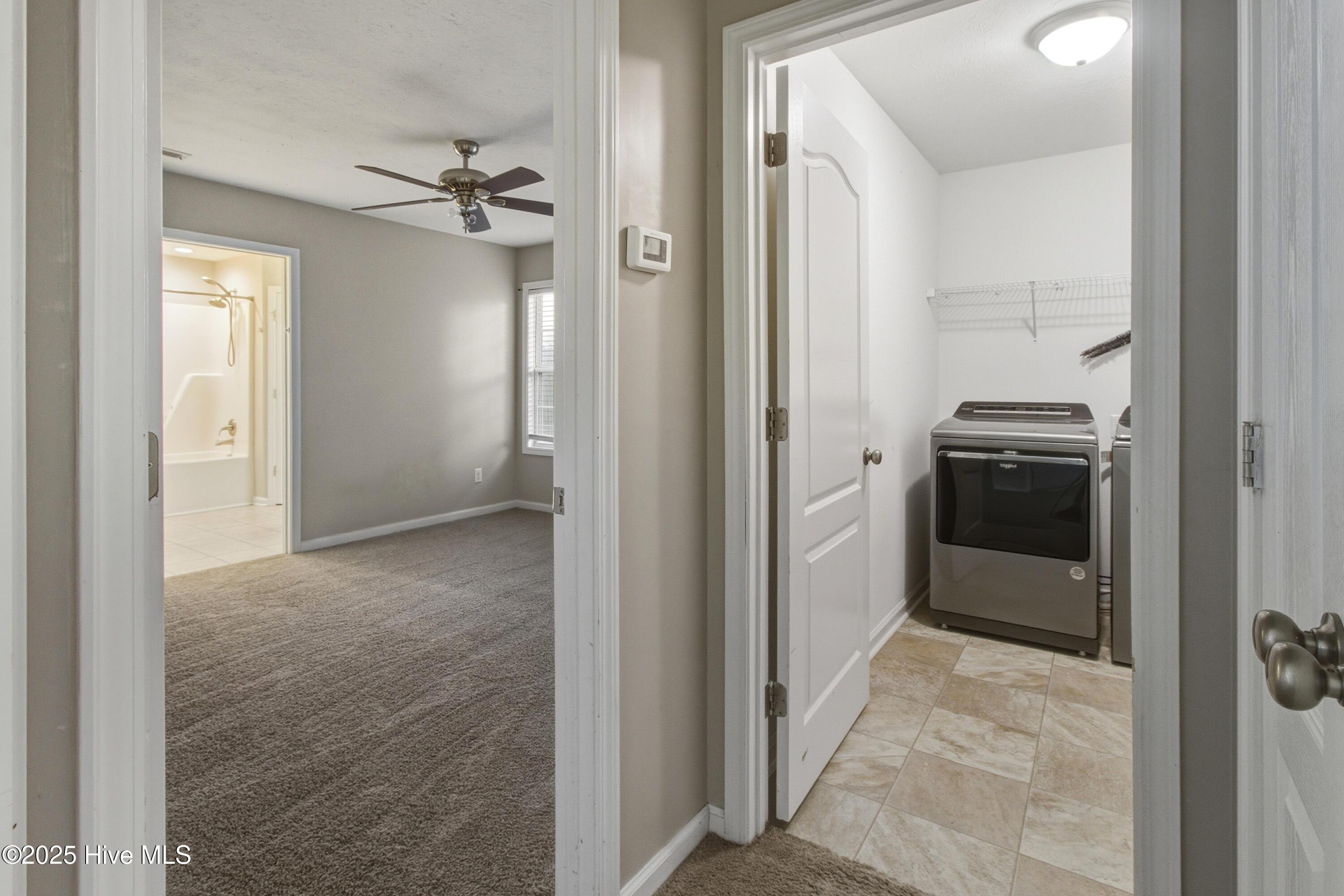 100541237 | Photo 15