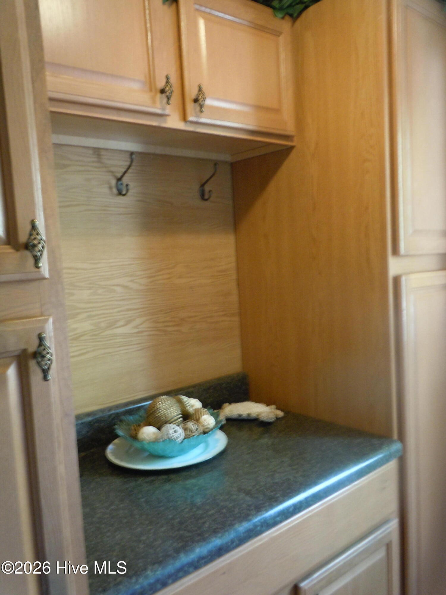 100565129 | Photo 28