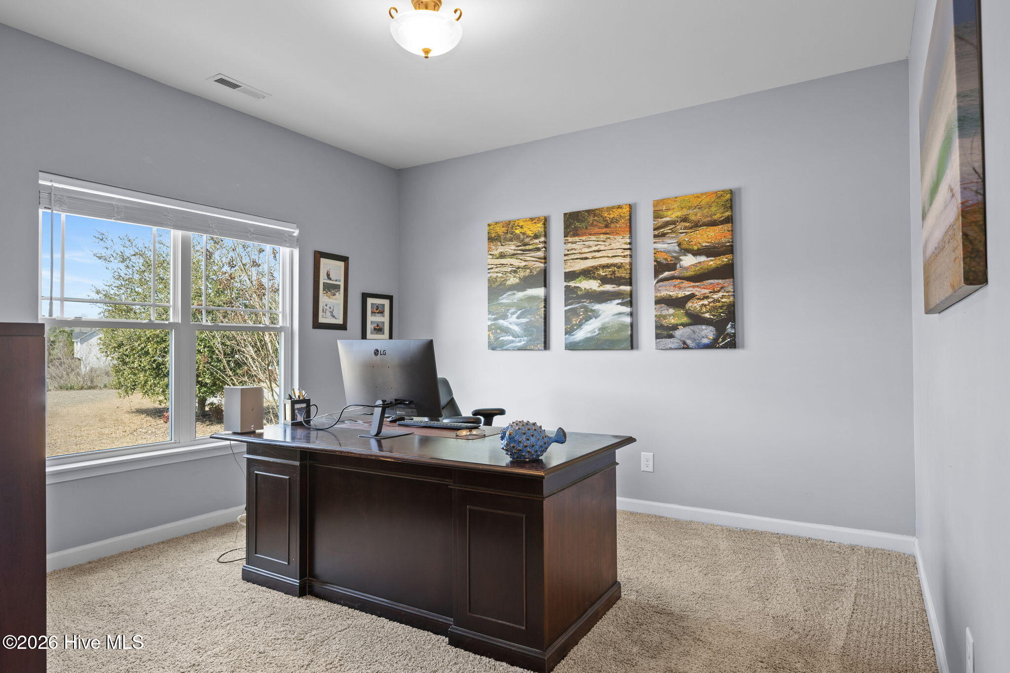 100558397 | Photo 16