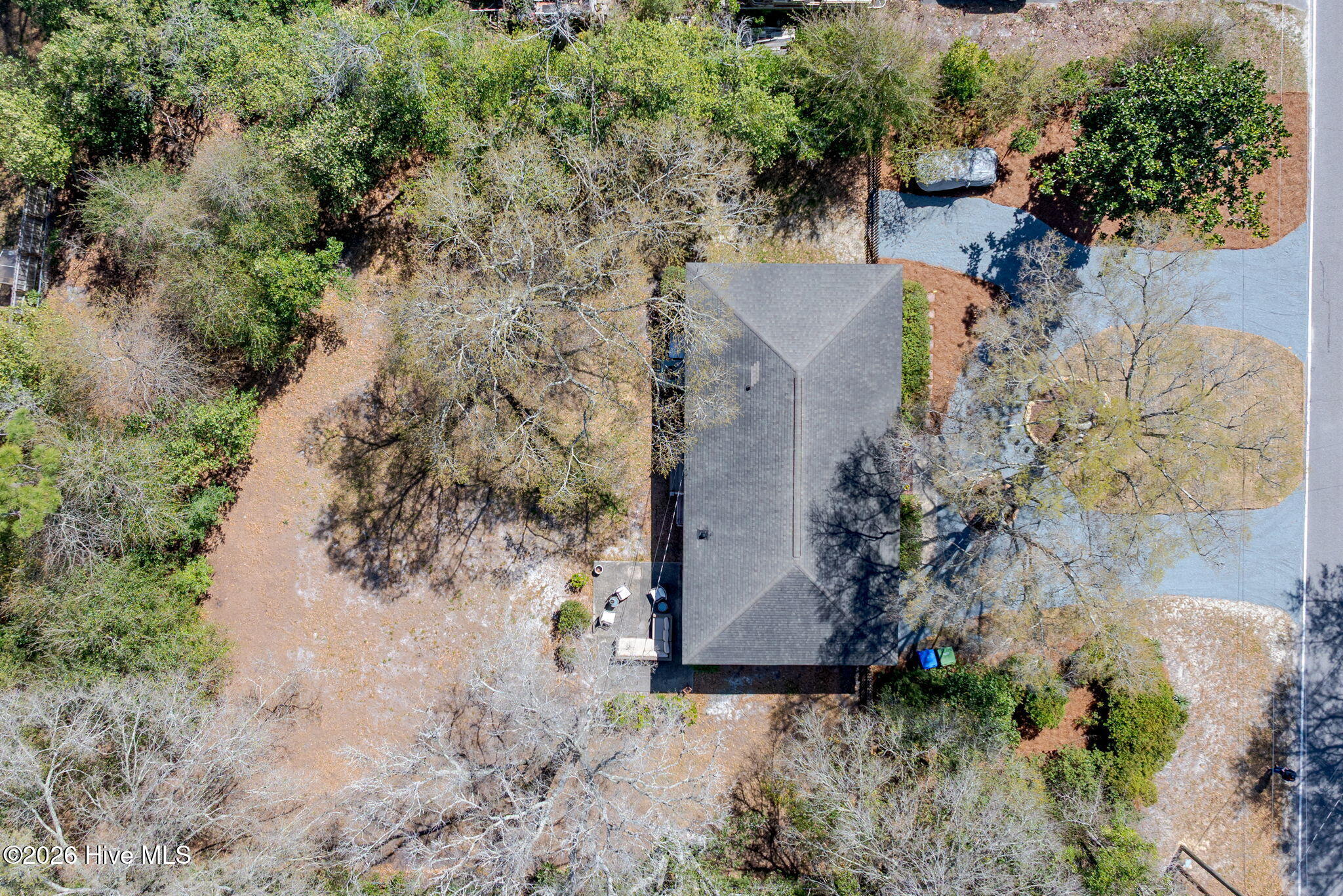 100561167 | Photo 43