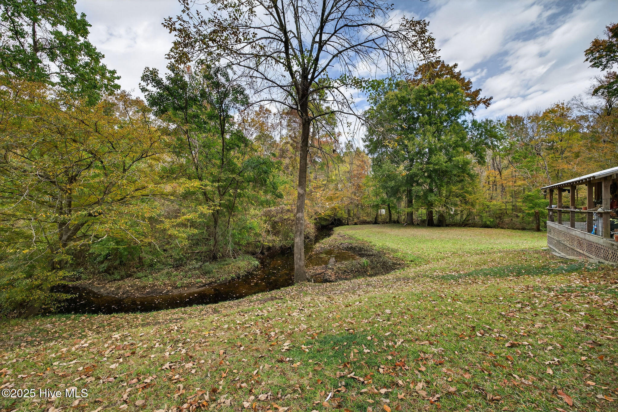 100542936 | Photo 24