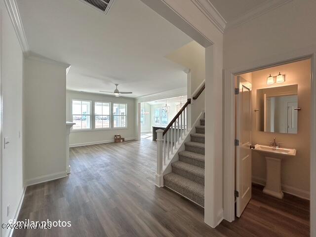 100535457 | Photo 14