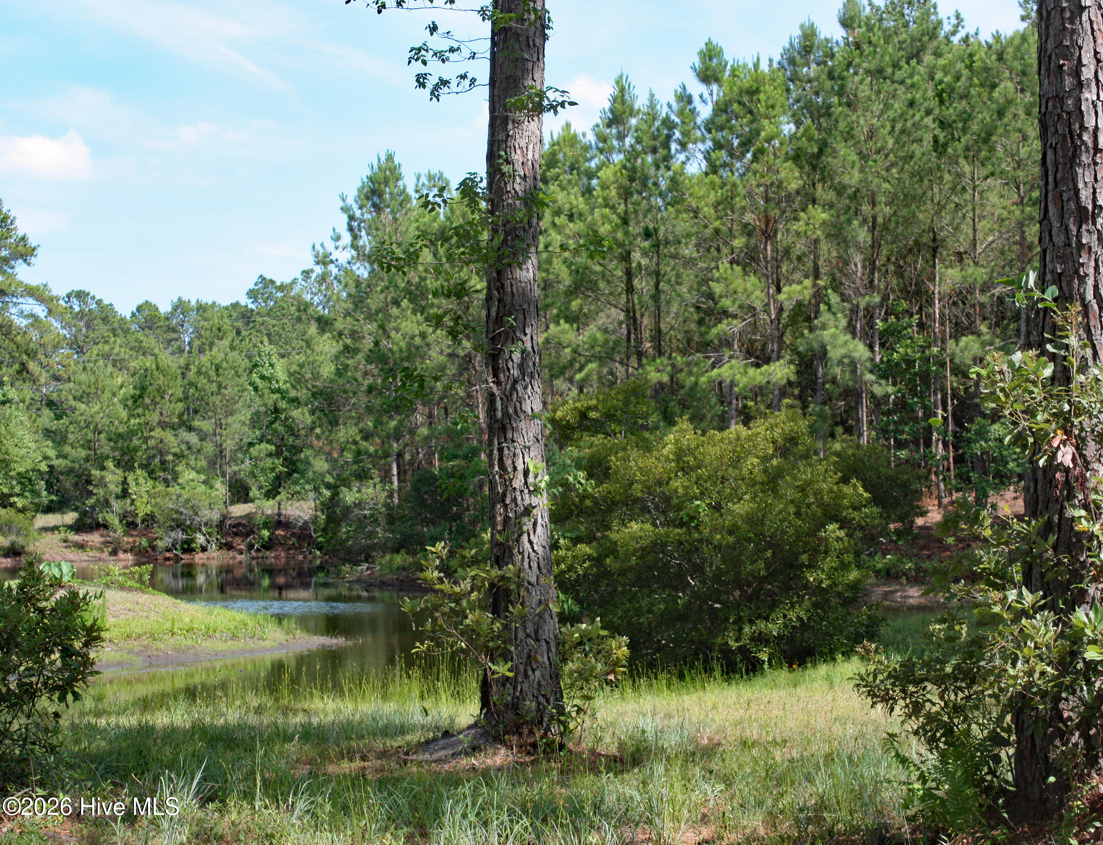 Carolina Barrier Islands