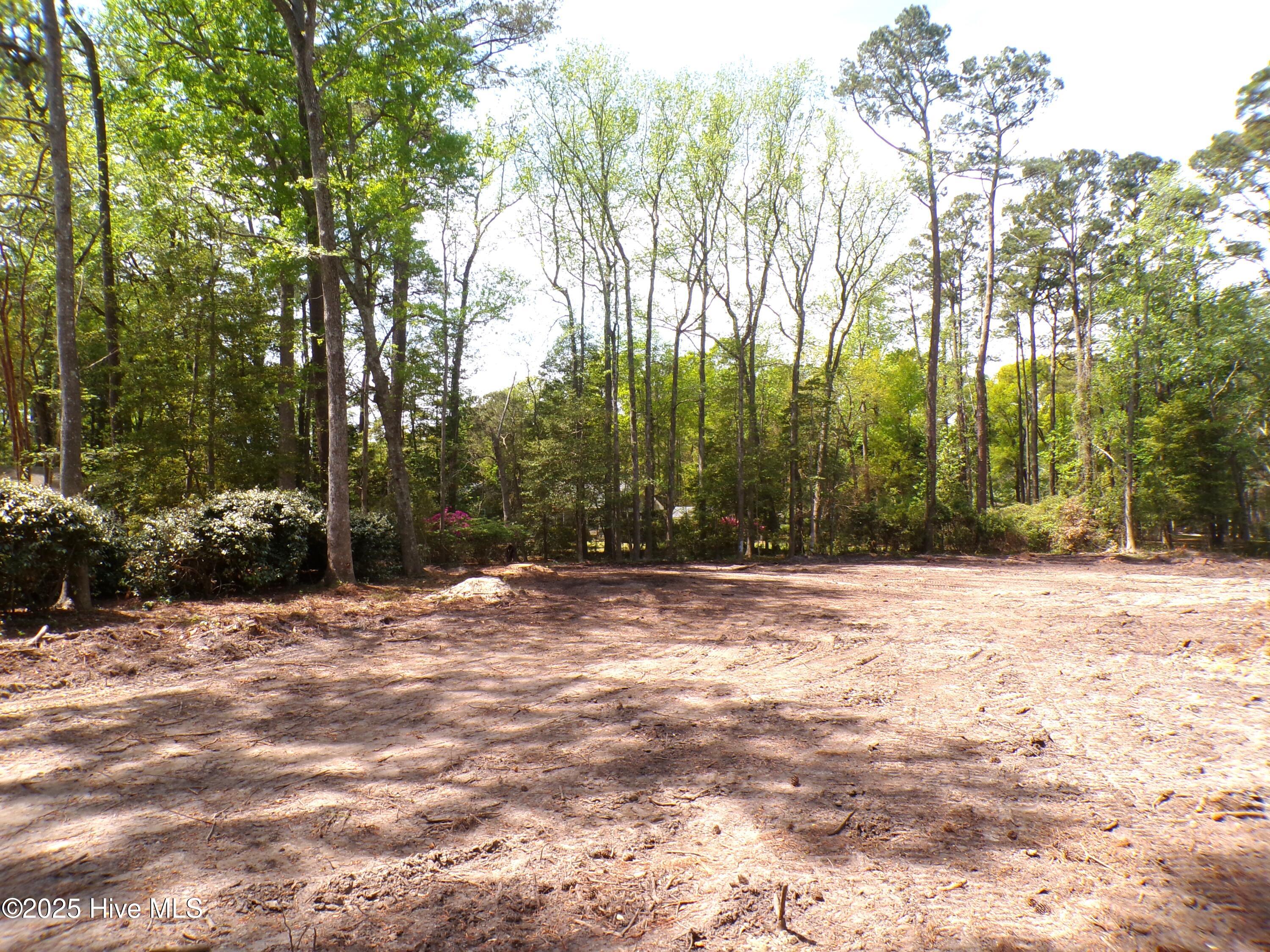 100499822 | Photo 11