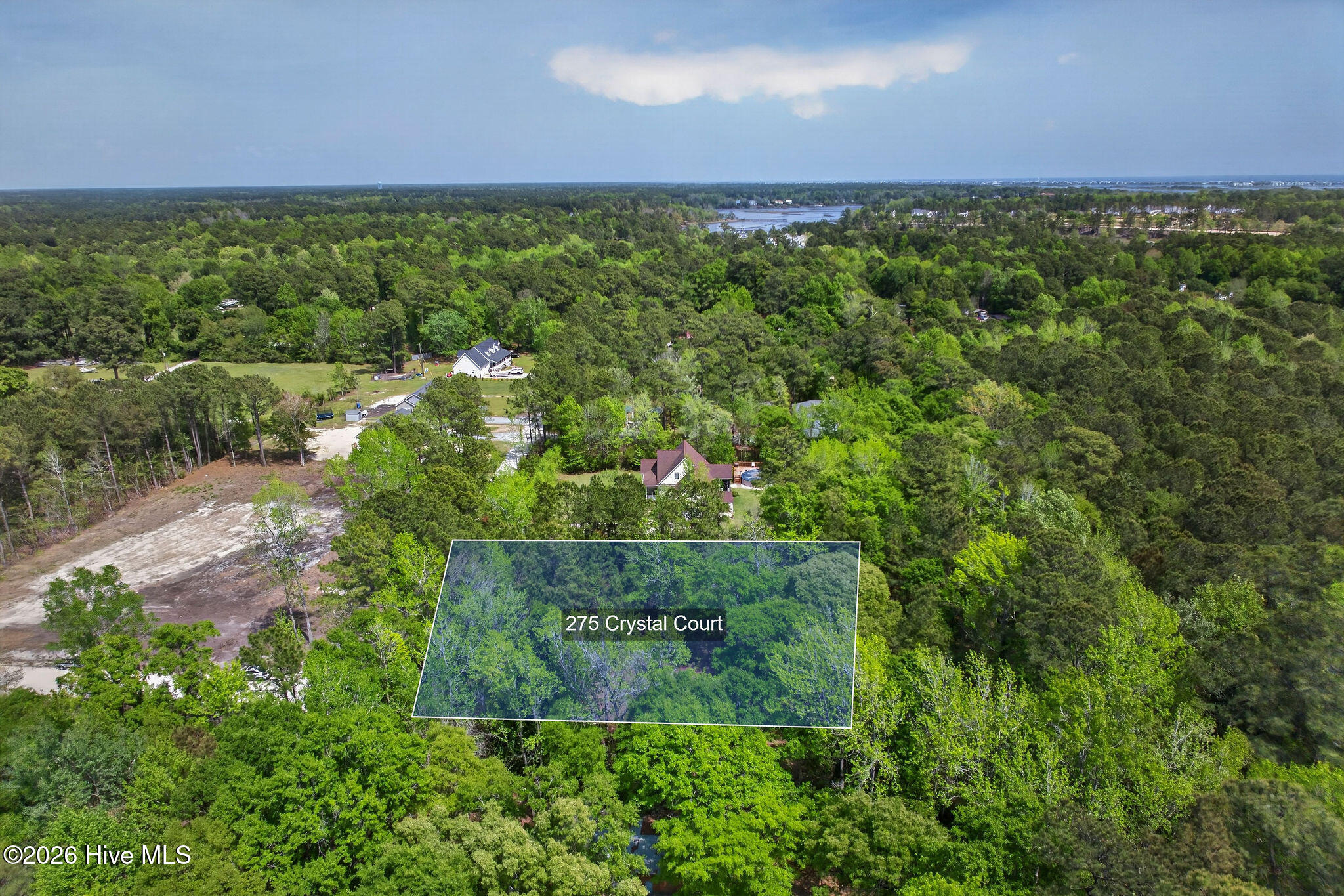 100566572 | Photo 11