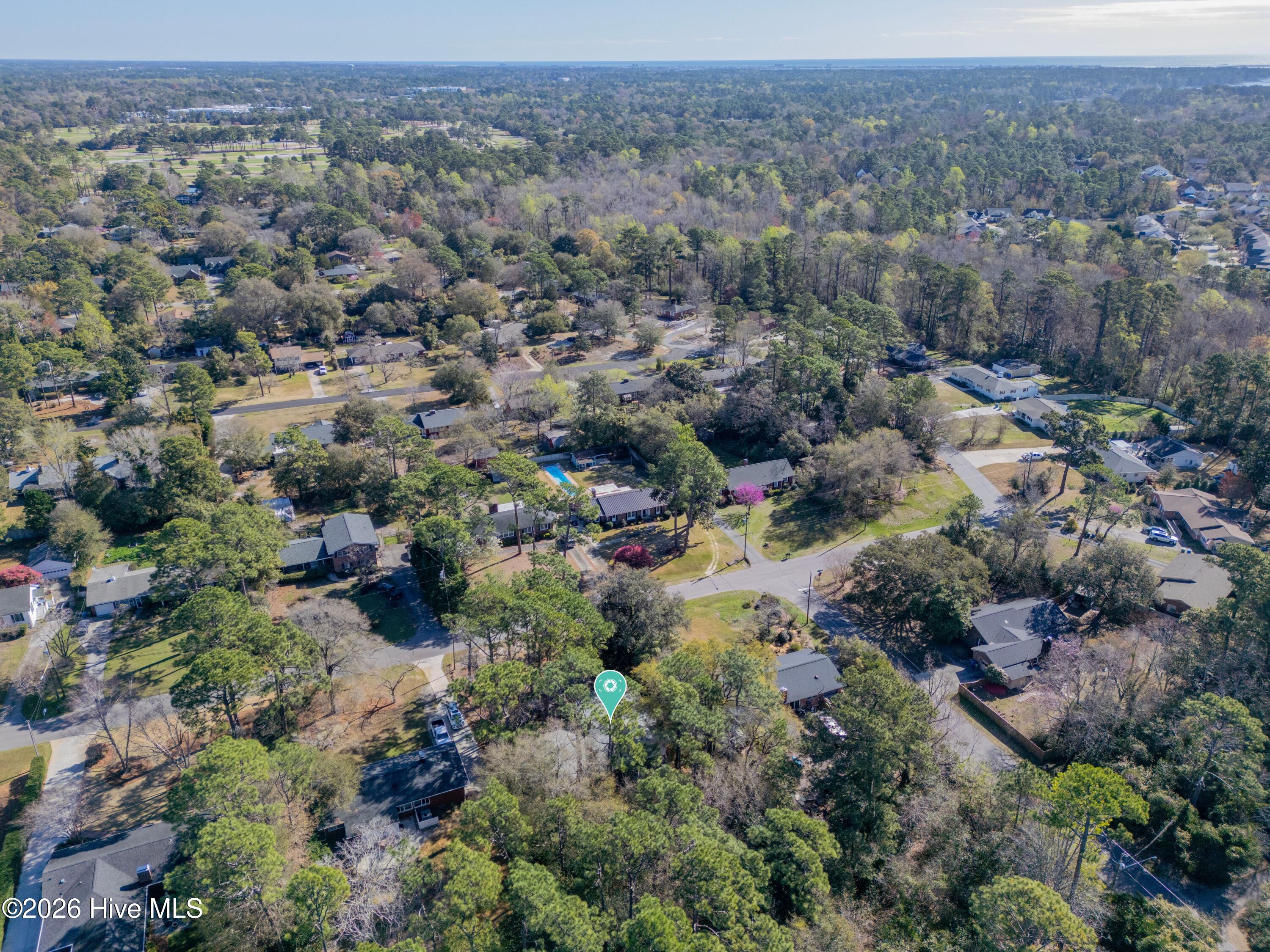 100560709 | Photo 35