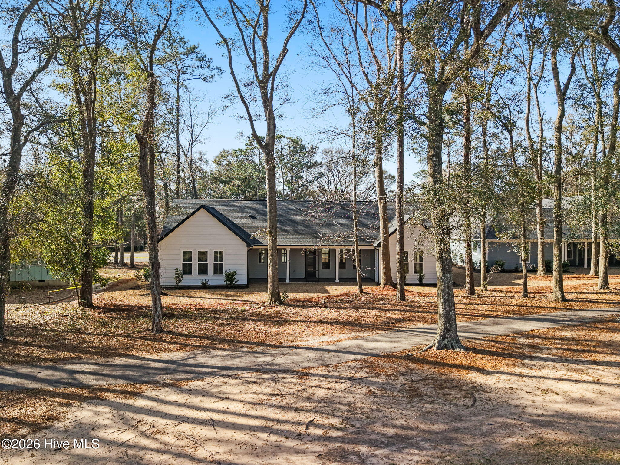 100558111 | Photo 45