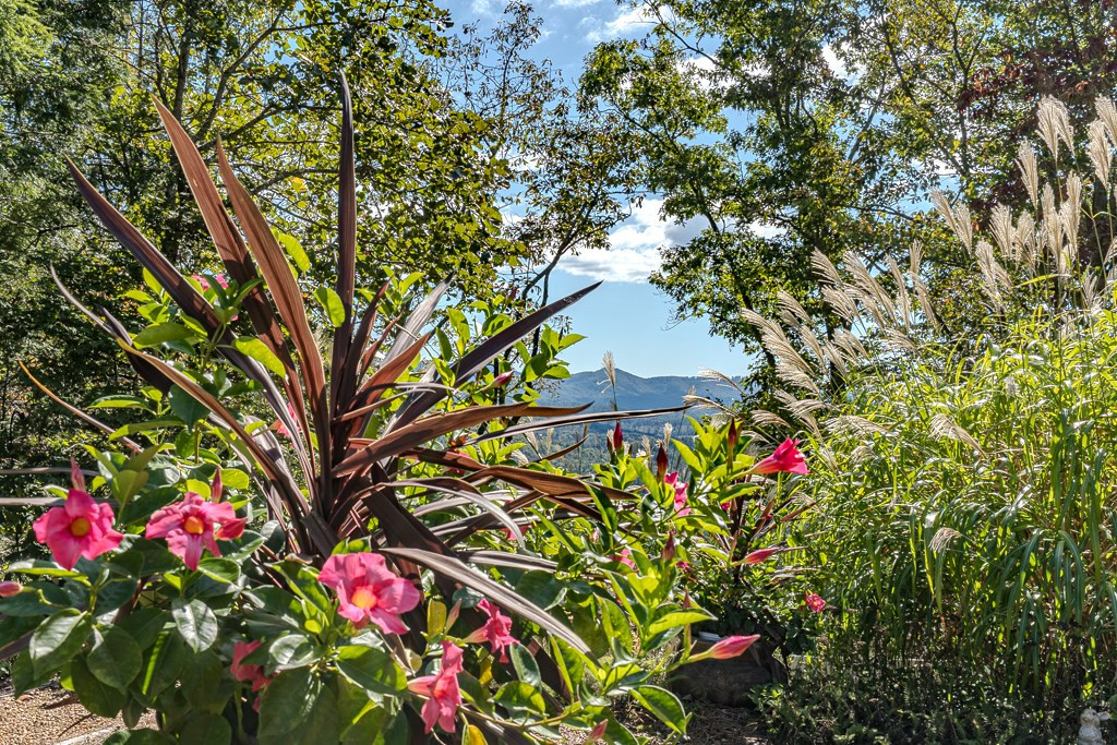 29 Beckwith Road, Murphy, NC 28906 Listing Photo  39