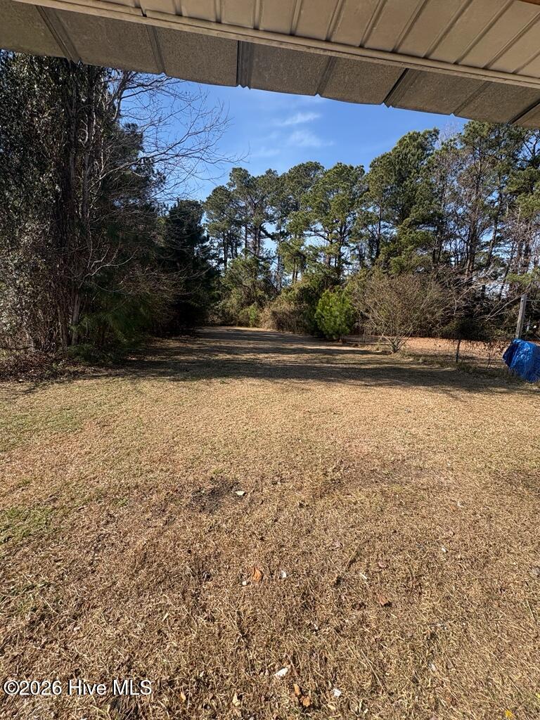 100551919 | Photo 17