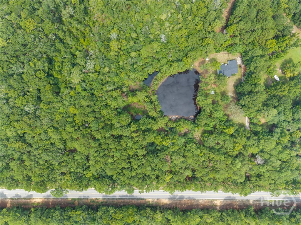 35th image of 3544 S 119 Hwy, Guyton, GA 31312 | MLS# SA362789