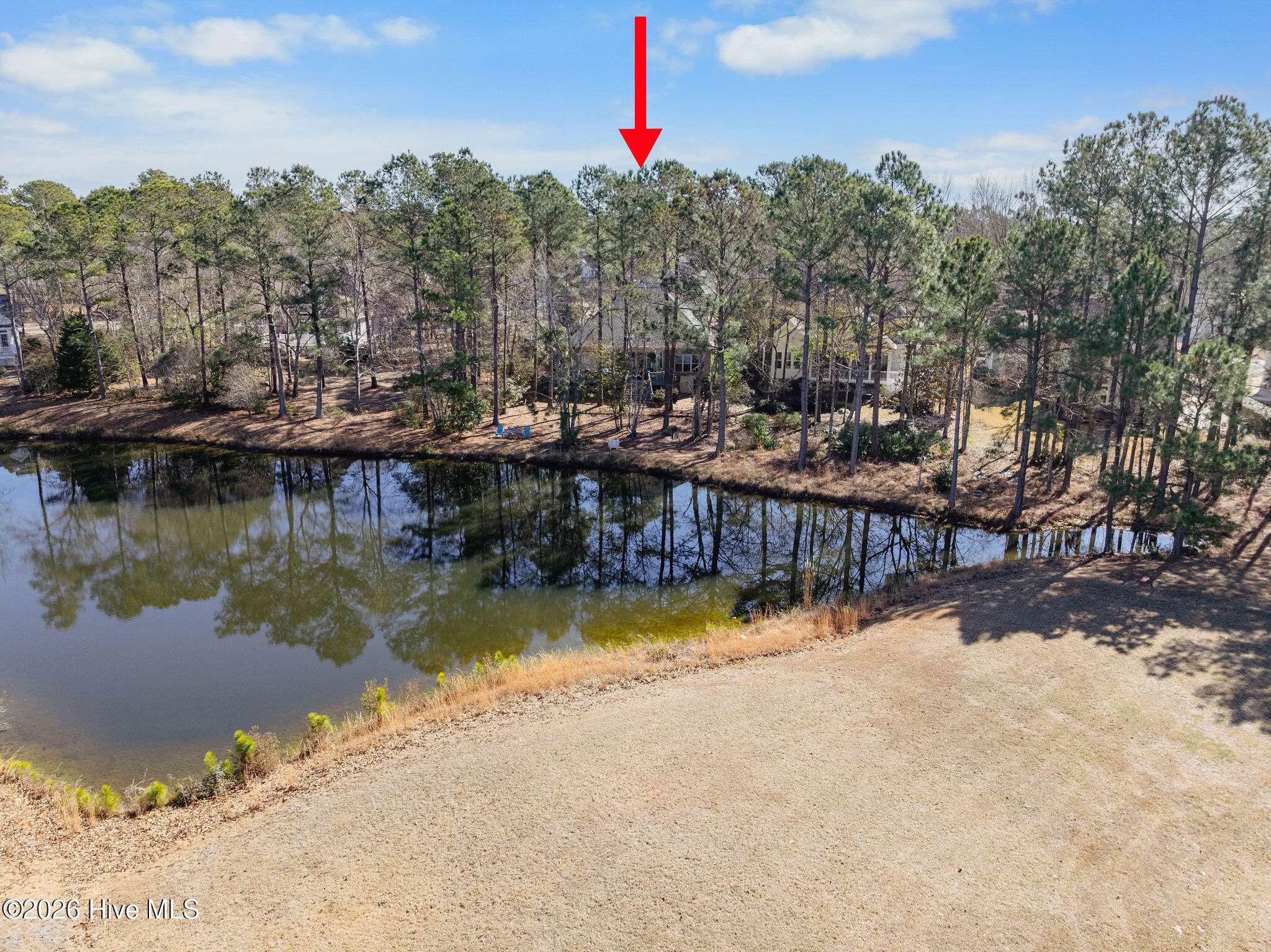 100557018 | Photo 66