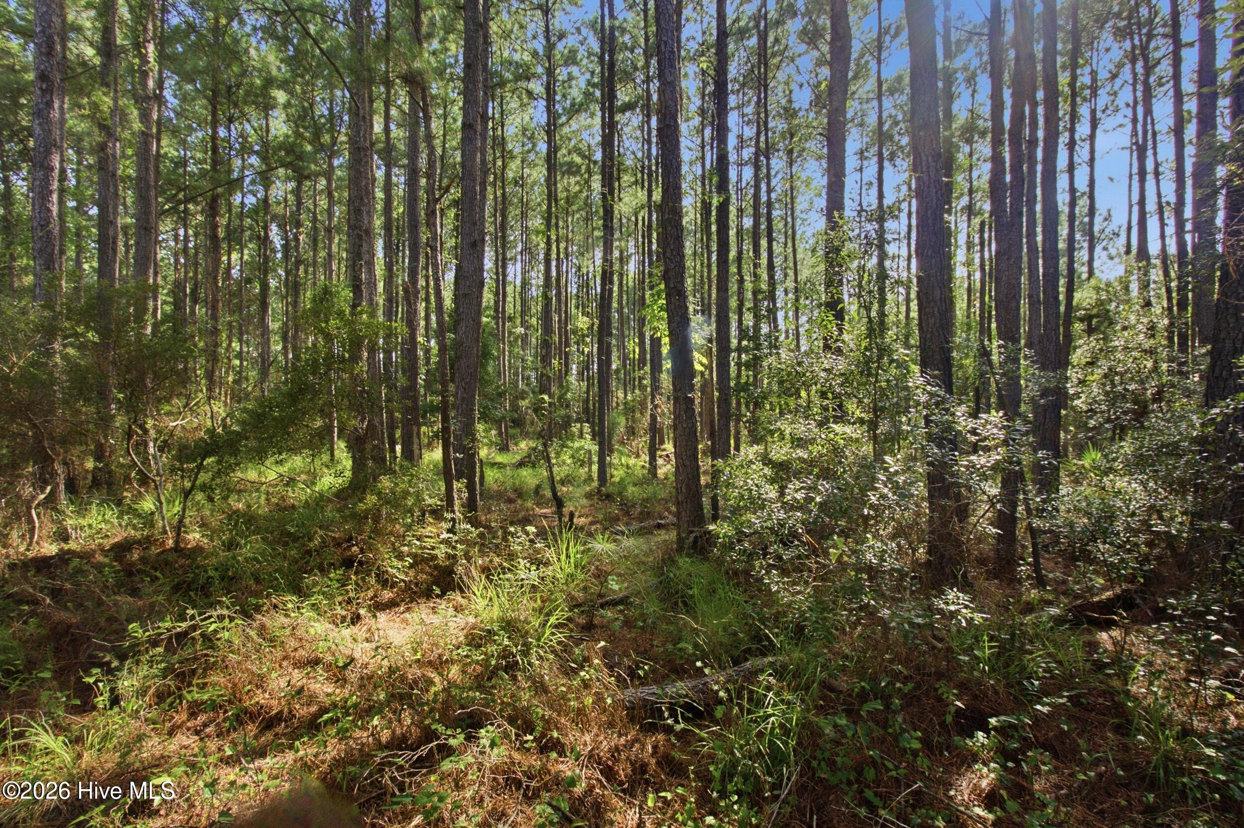 125 Merrimon Bay Drive,Beaufort