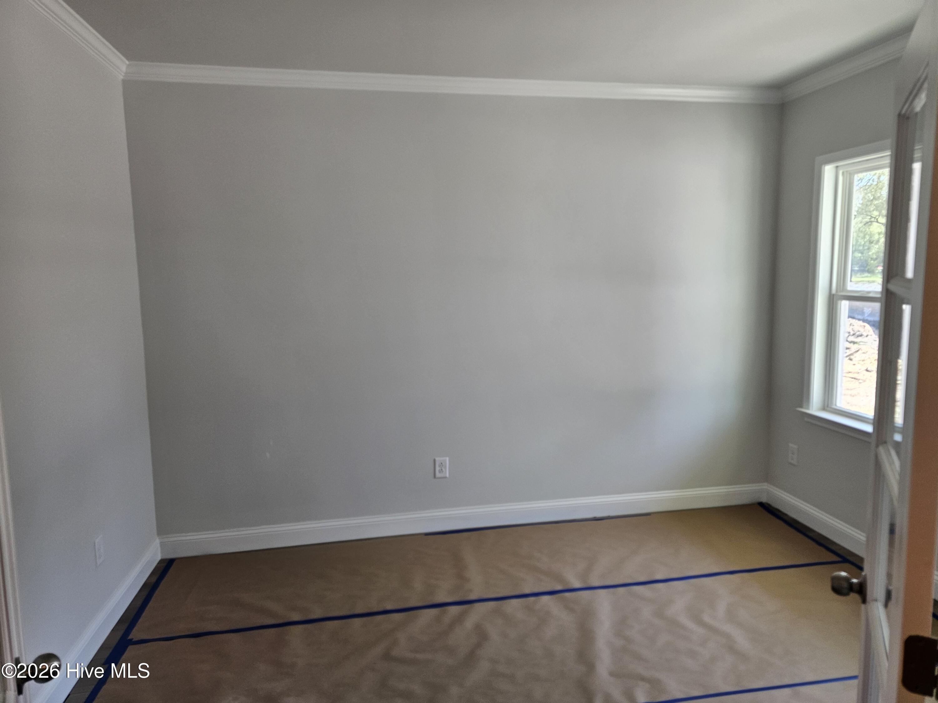 100555806 | Photo 20