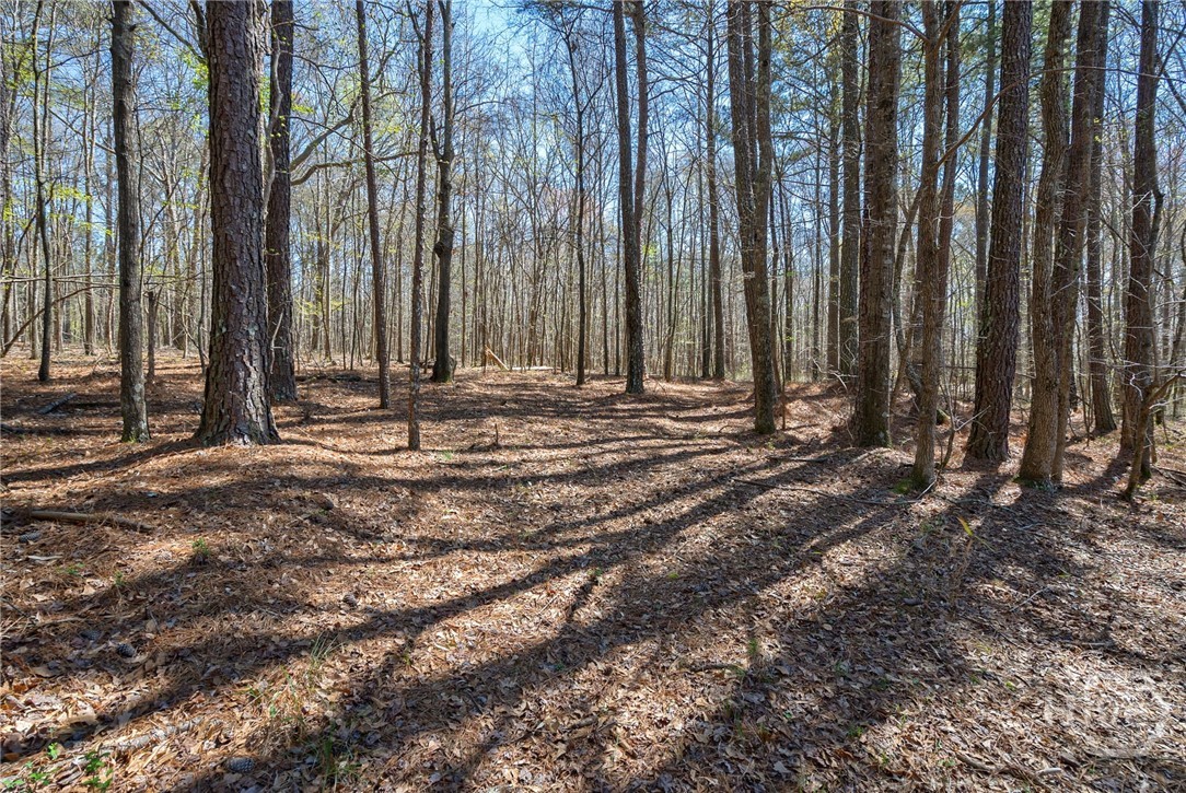 0 Poplar Street, Monroe, GA, 30655