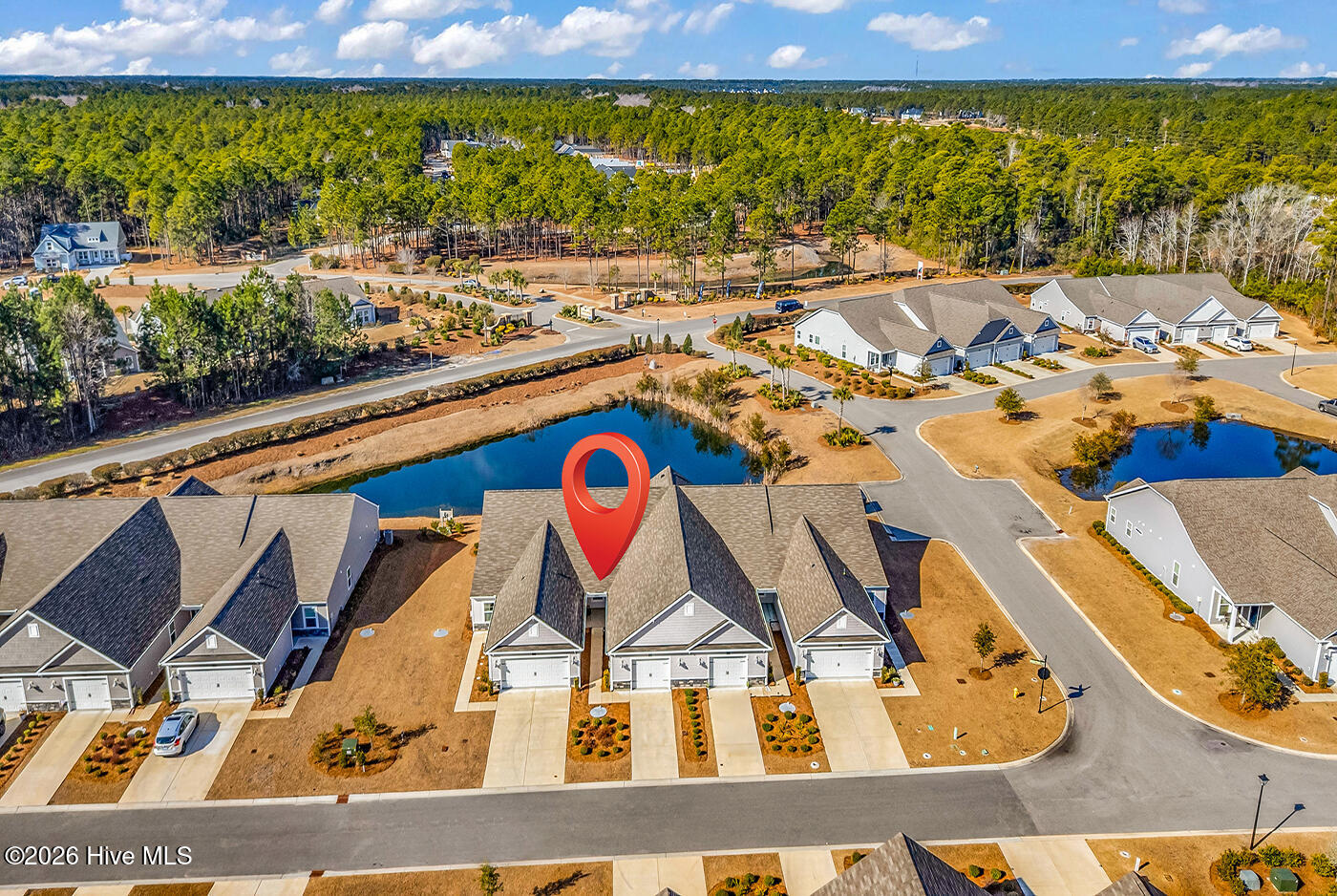 100553635 | Photo 31