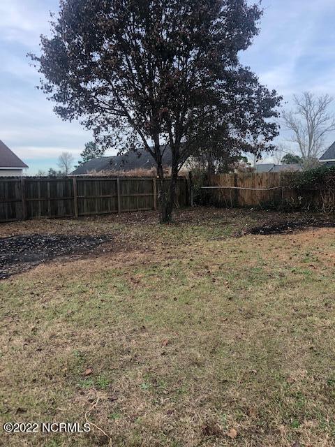 100557233 | Photo 19