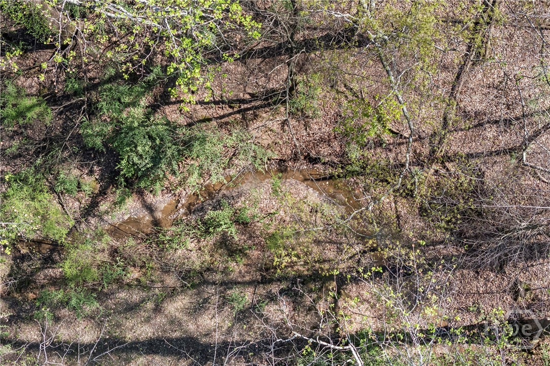 Stream