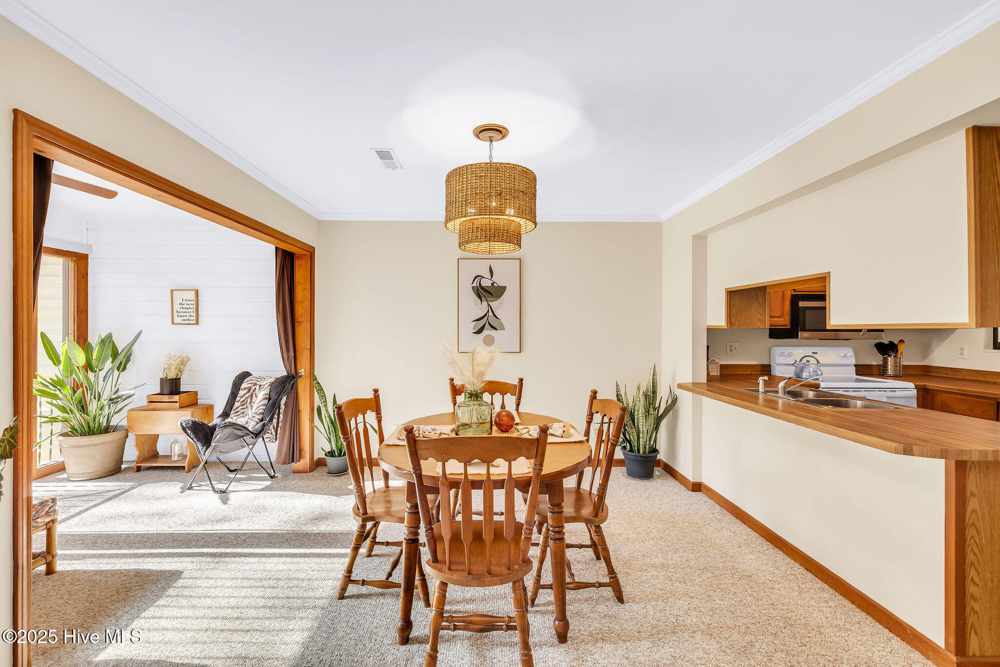 100541732 | Photo 14