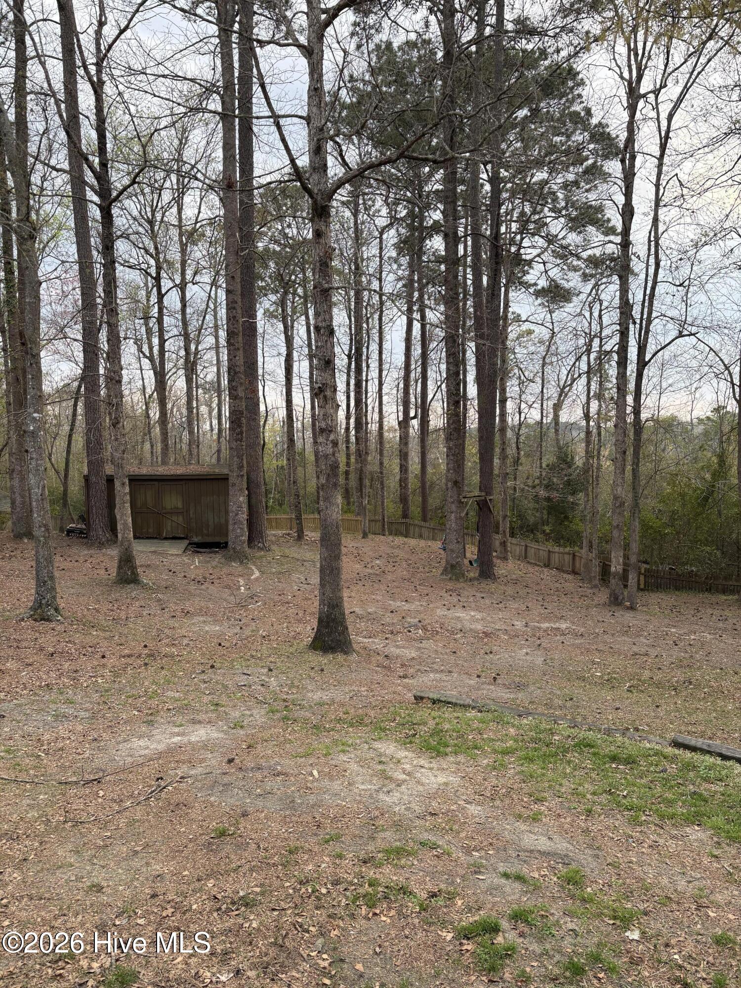 100562372 | Photo 25