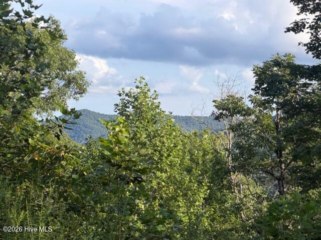 1st image of 13 Little Choga Rd, Topton, NC 28781 | MLS# 100595519