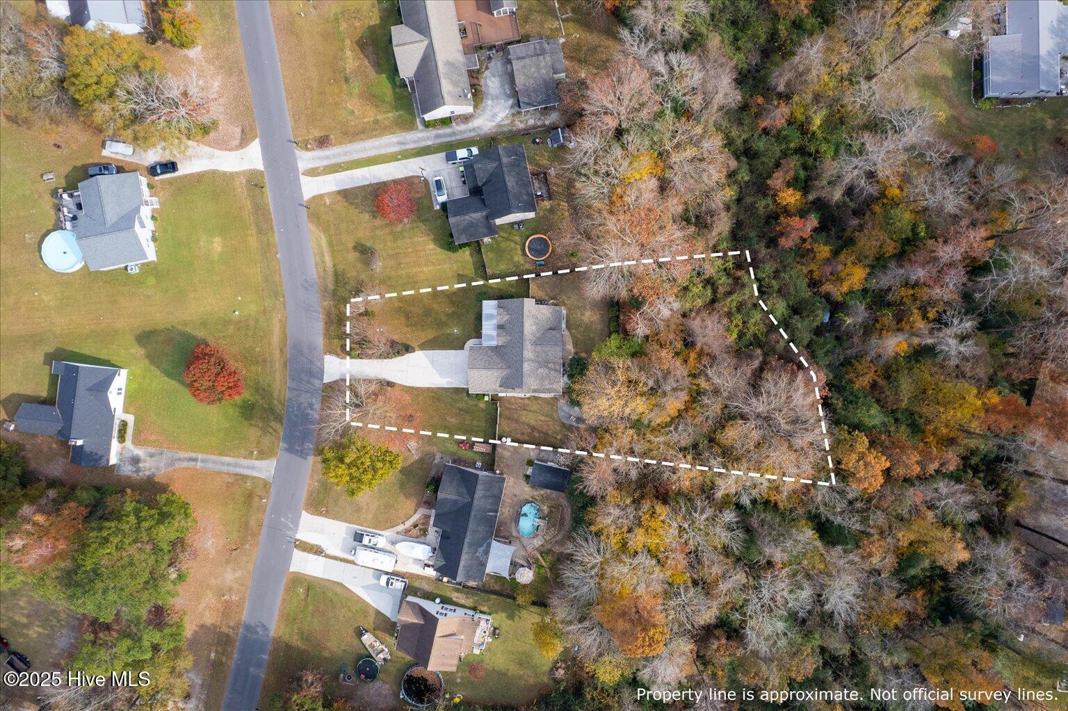 100543897 | Photo 33