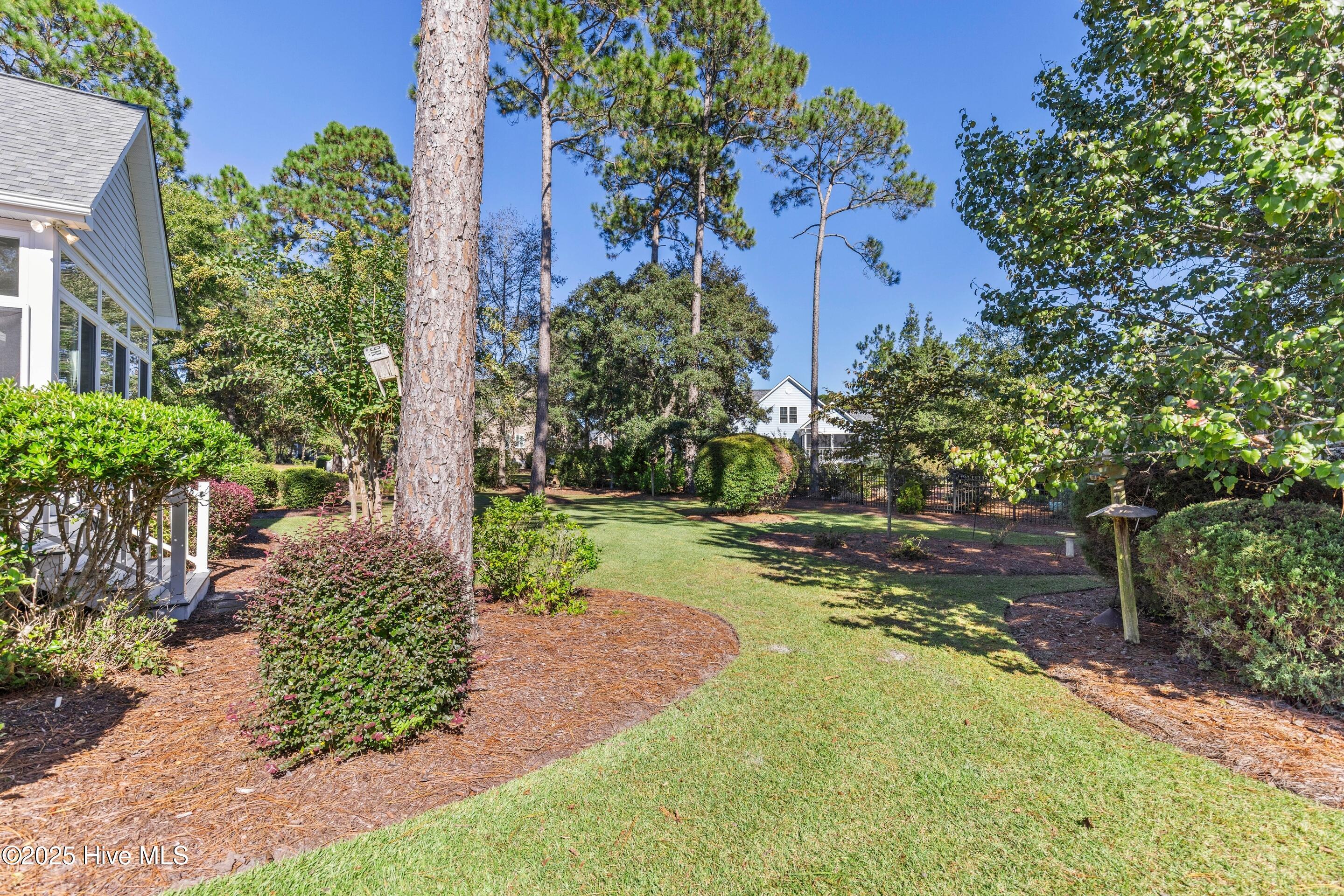 100538376 | Photo 68