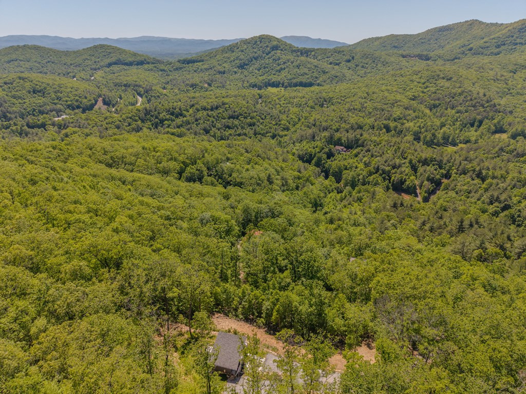 58 Mutt Ridge, Murphy, NC 28906 Listing Photo  11