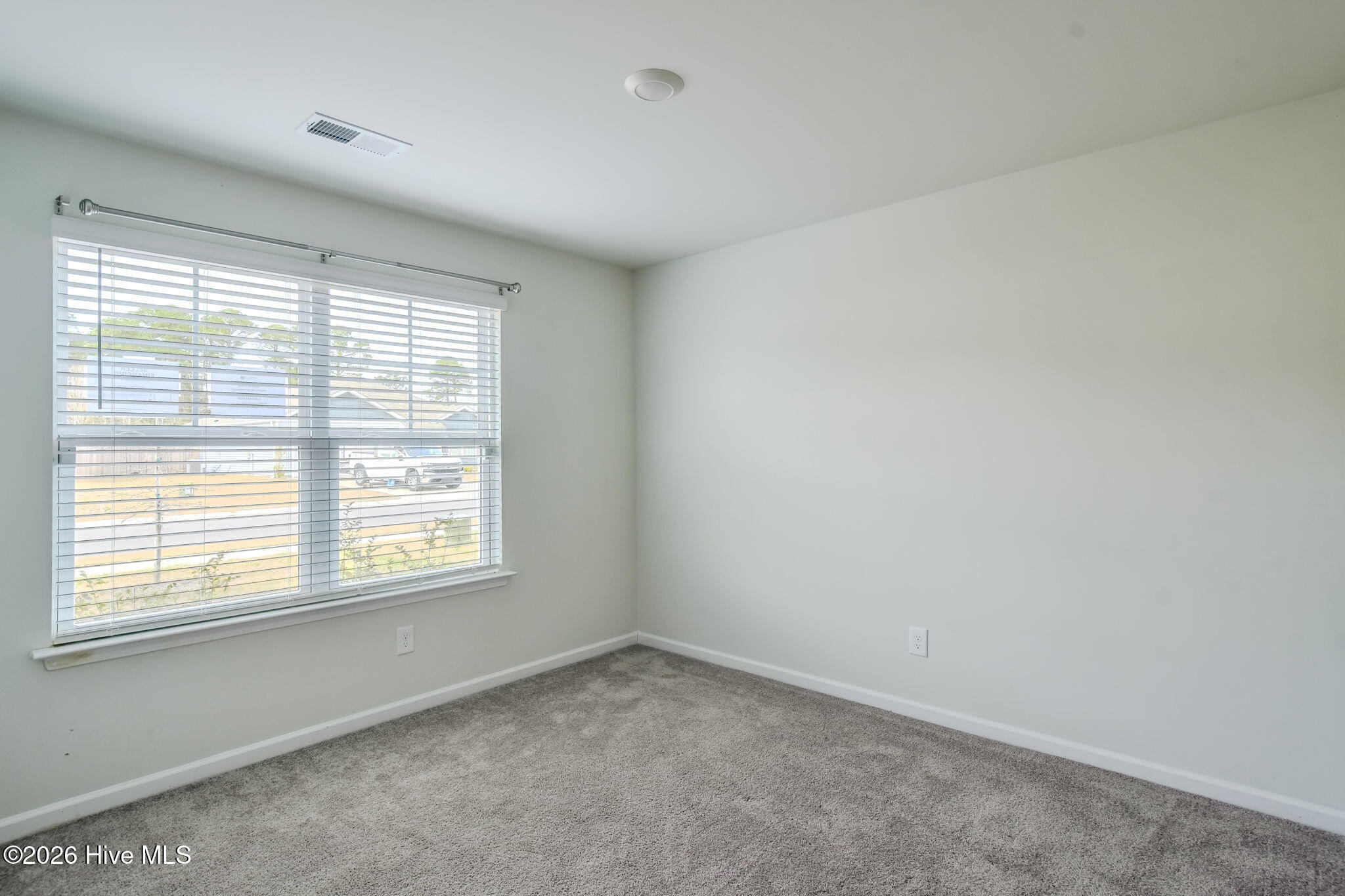 100552347 | Photo 20