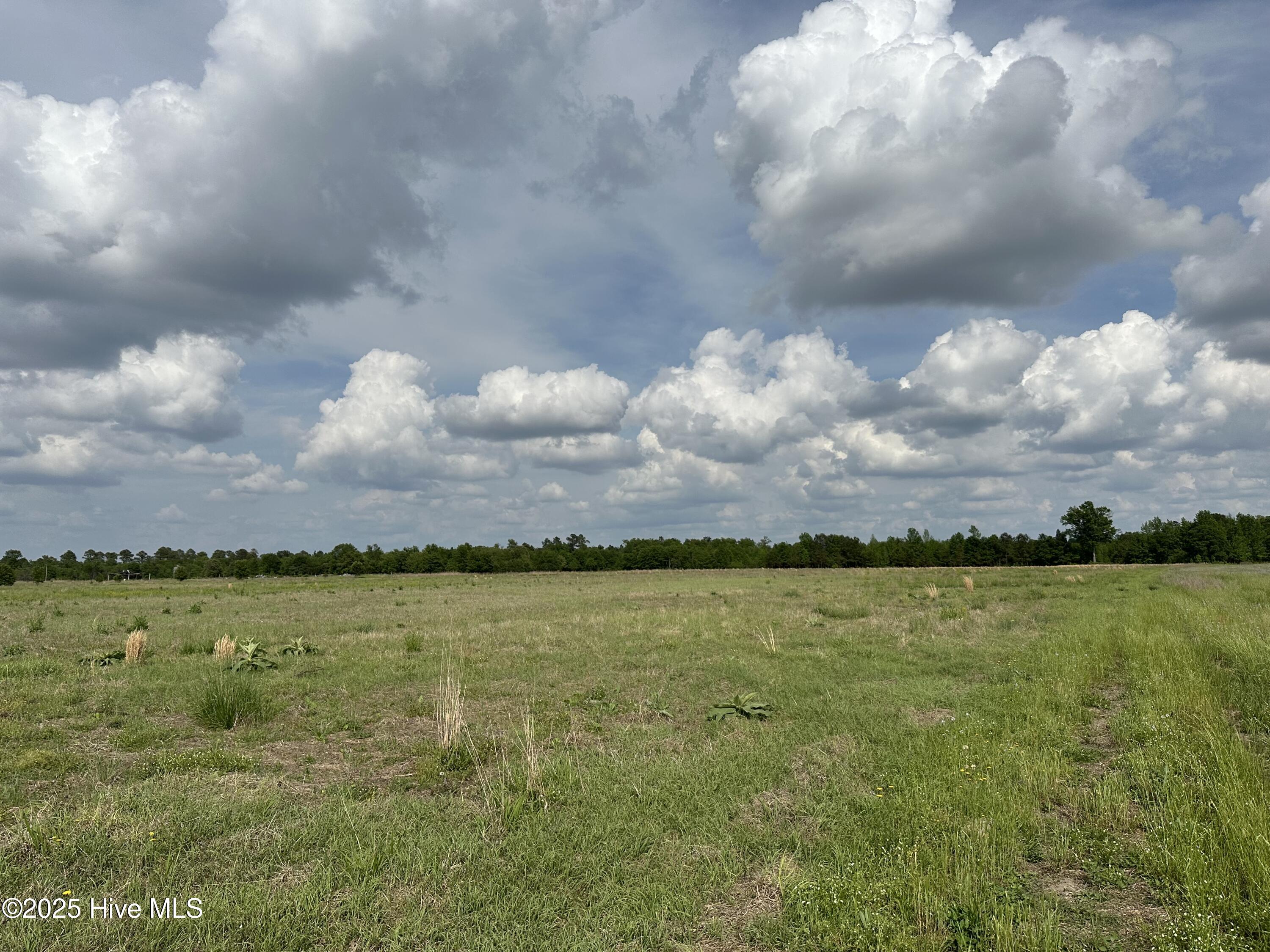 Homes for sale in Maxton, NC | Lot 4 Mcgirt Rd, Maxton, NC 28364 | MLS# 100533779