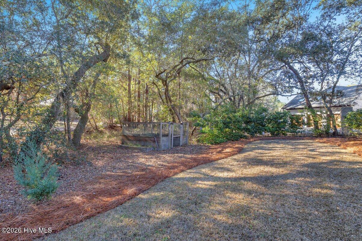 100552702 | Photo 62