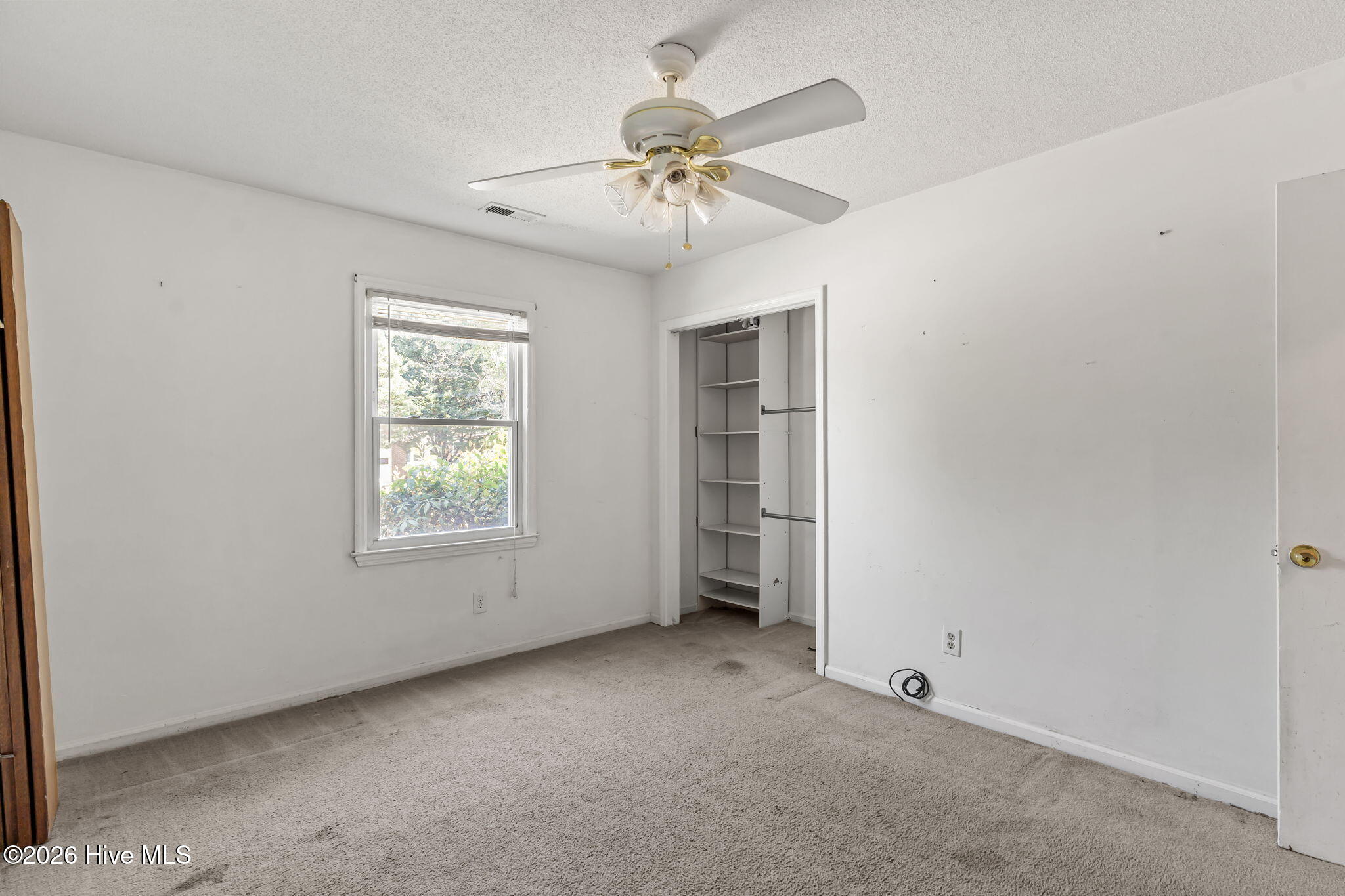 100569090 | Photo 19