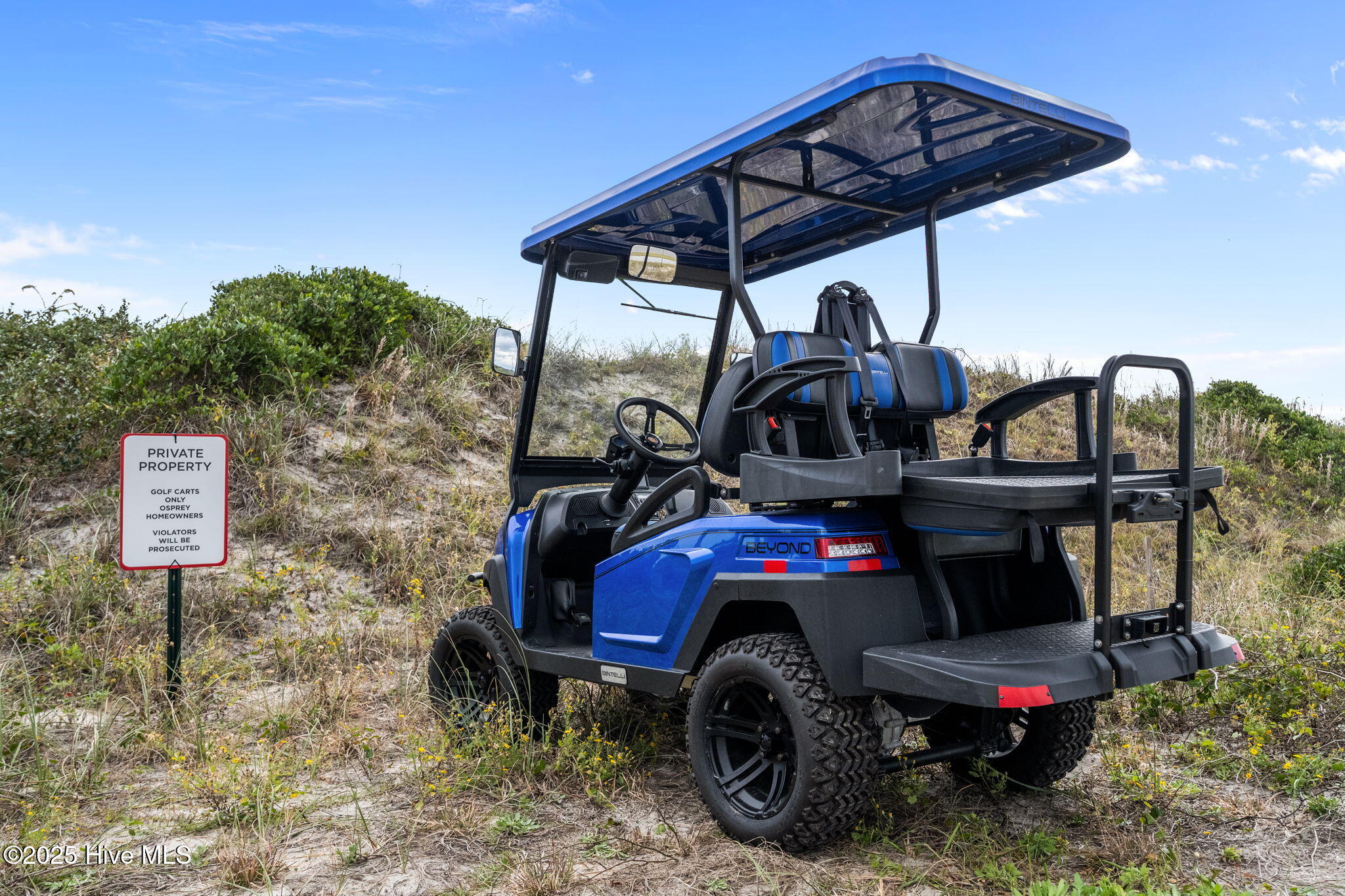 100539453 | Photo 65