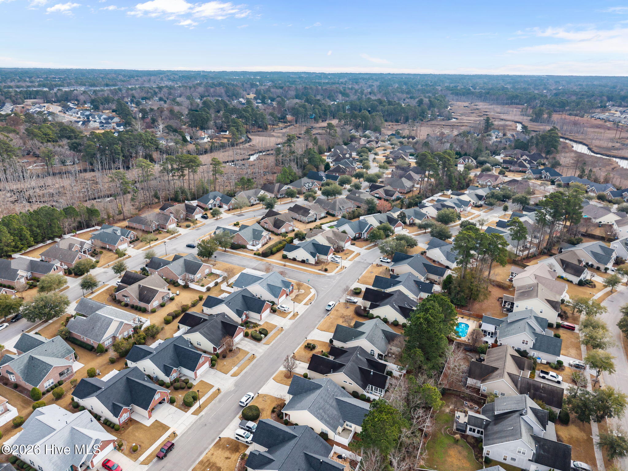 100549598 | Photo 52