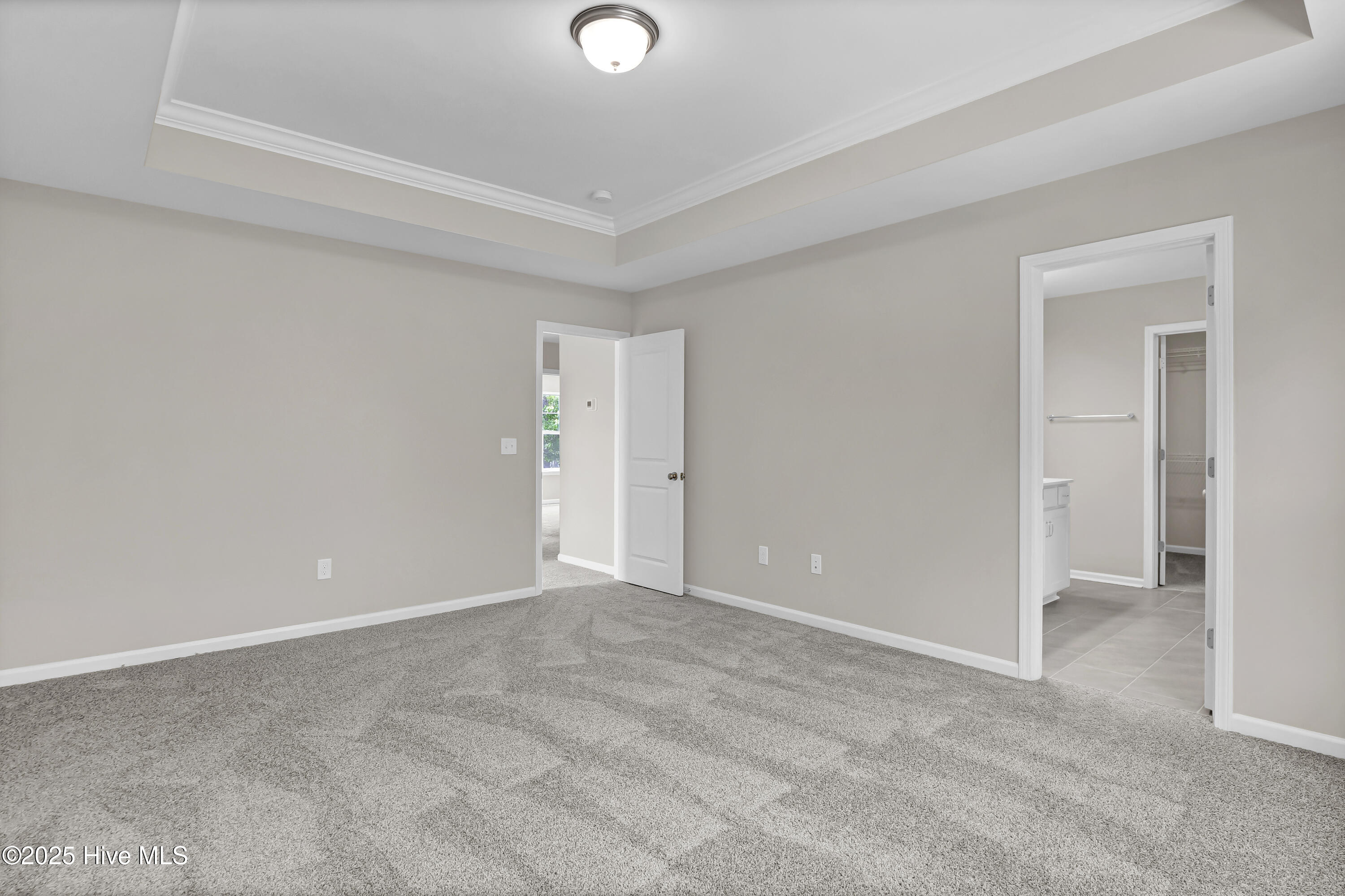 100514629 | Photo 17