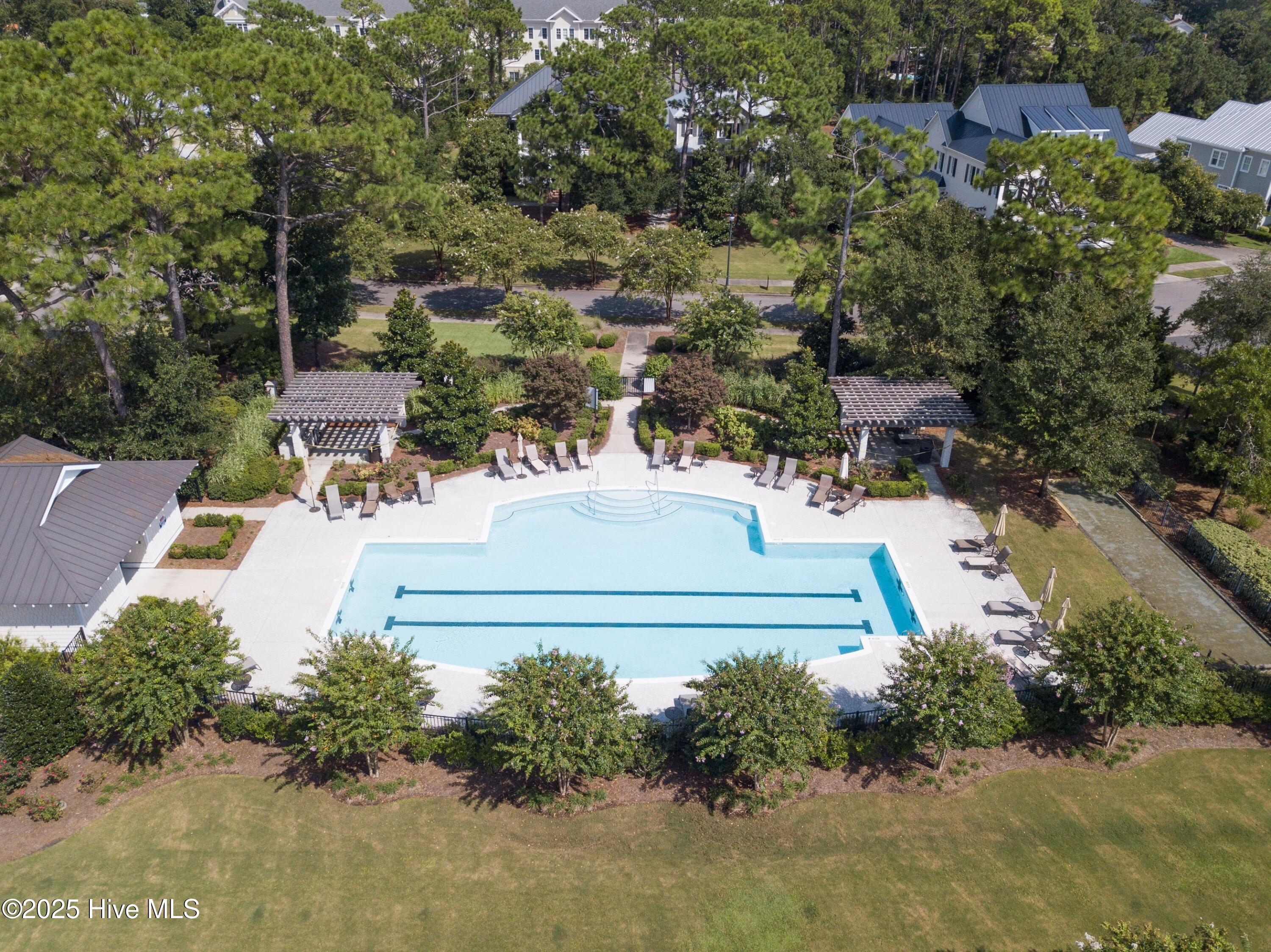 100542273 | Photo 81