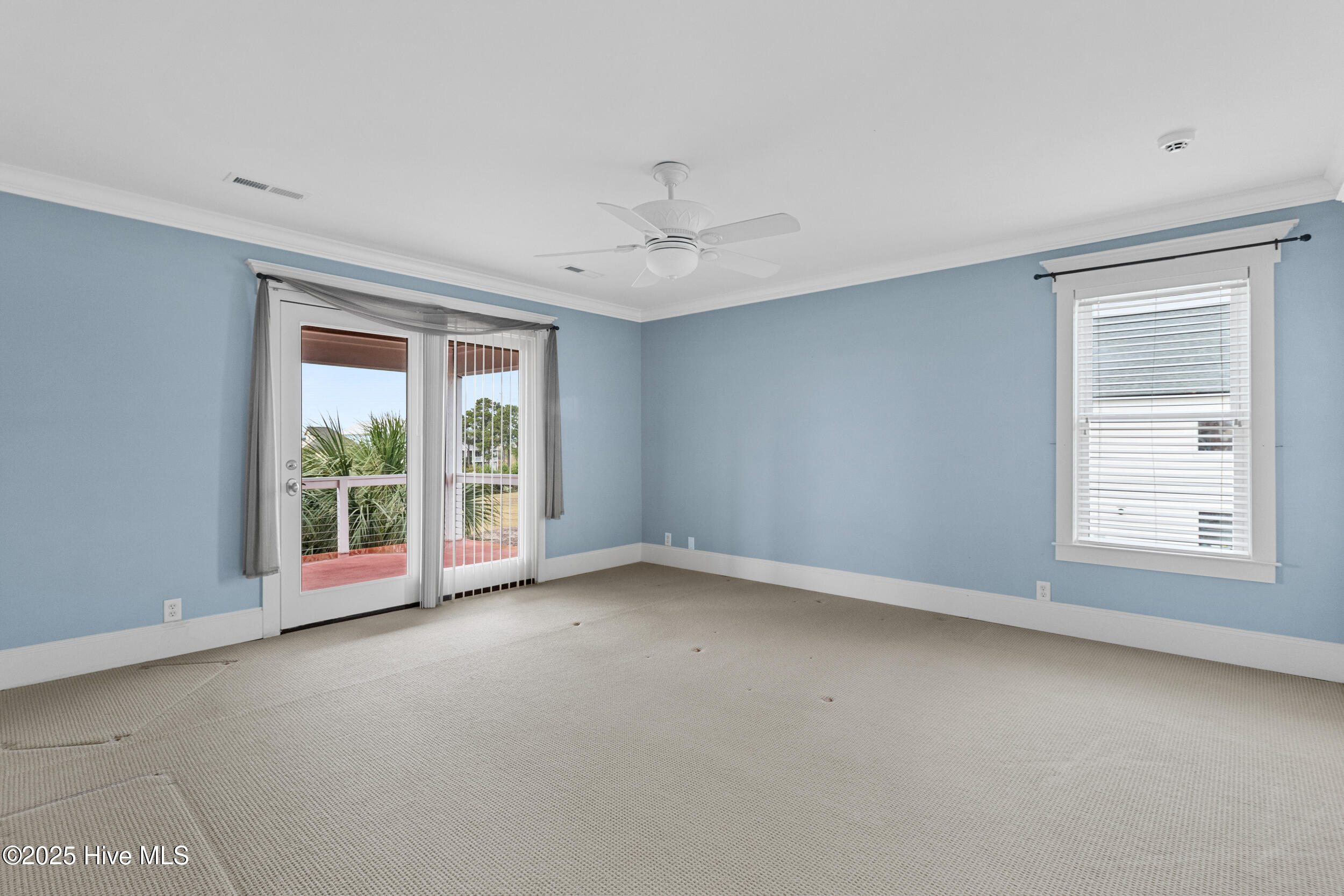 100538767 | Photo 28