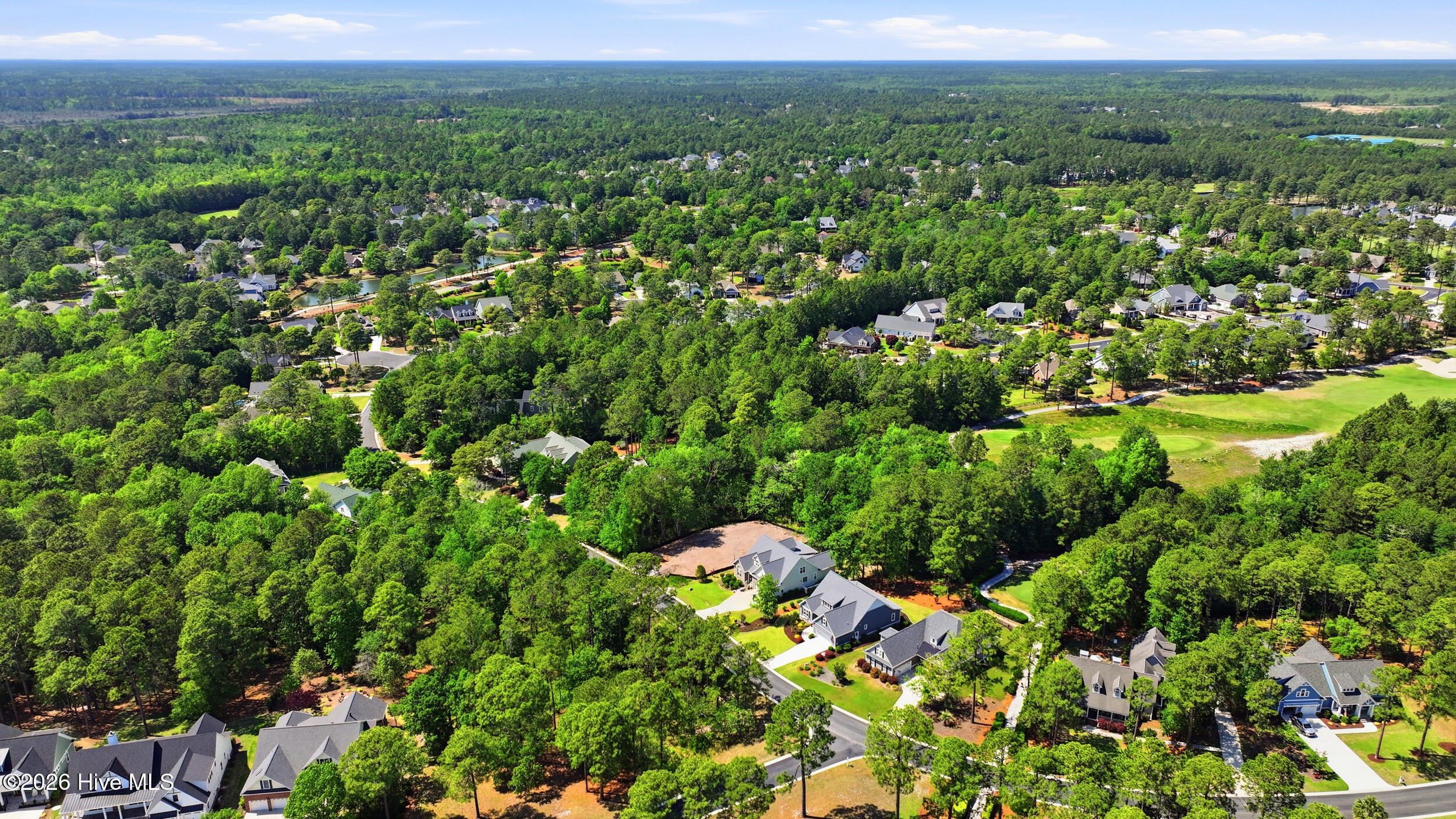 100570003 | Photo 18