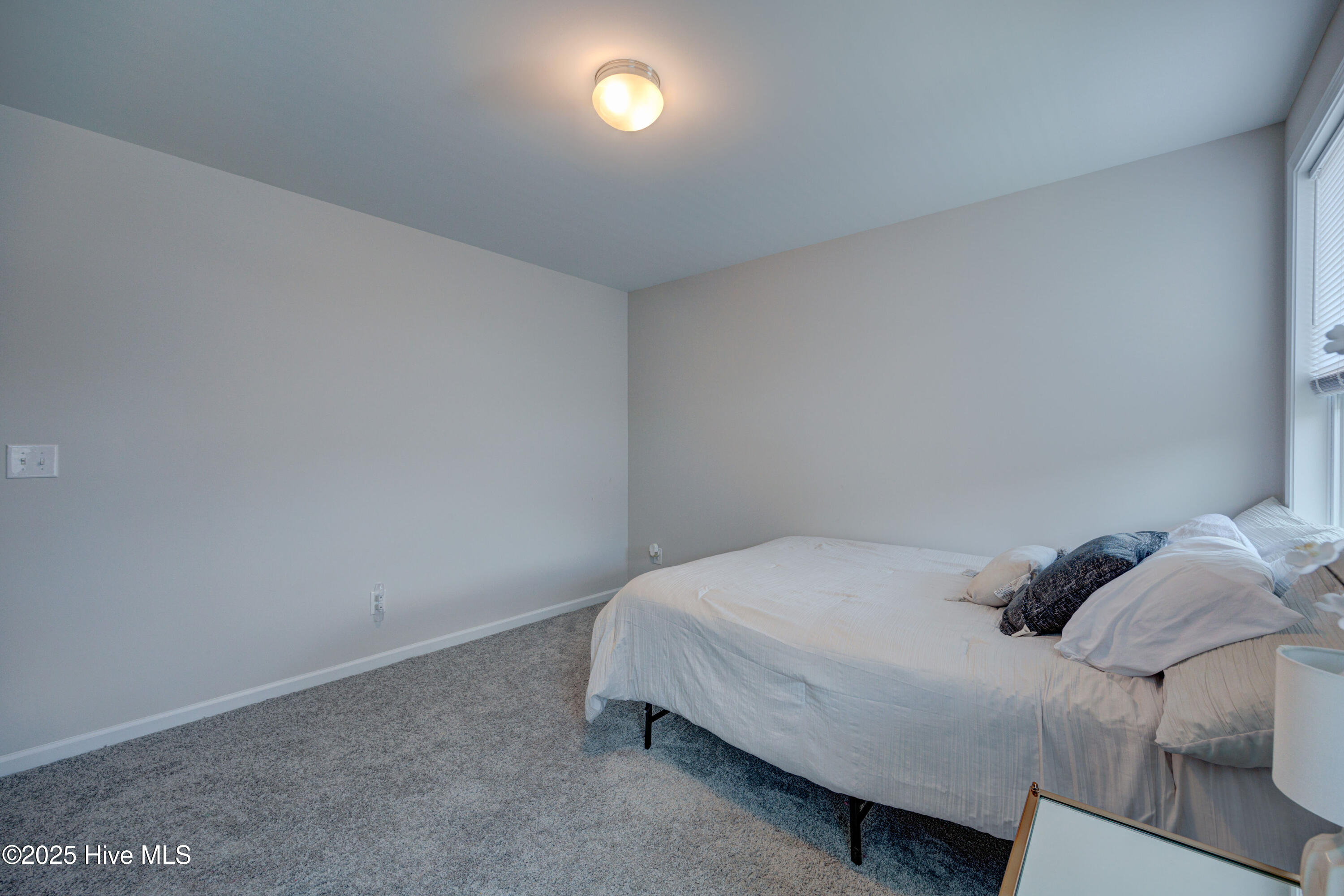 100535248 | Photo 23