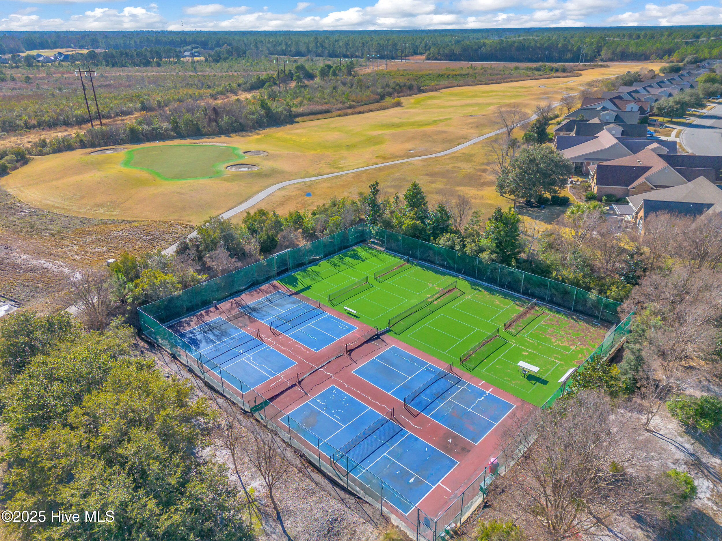 100543526 | Photo 53